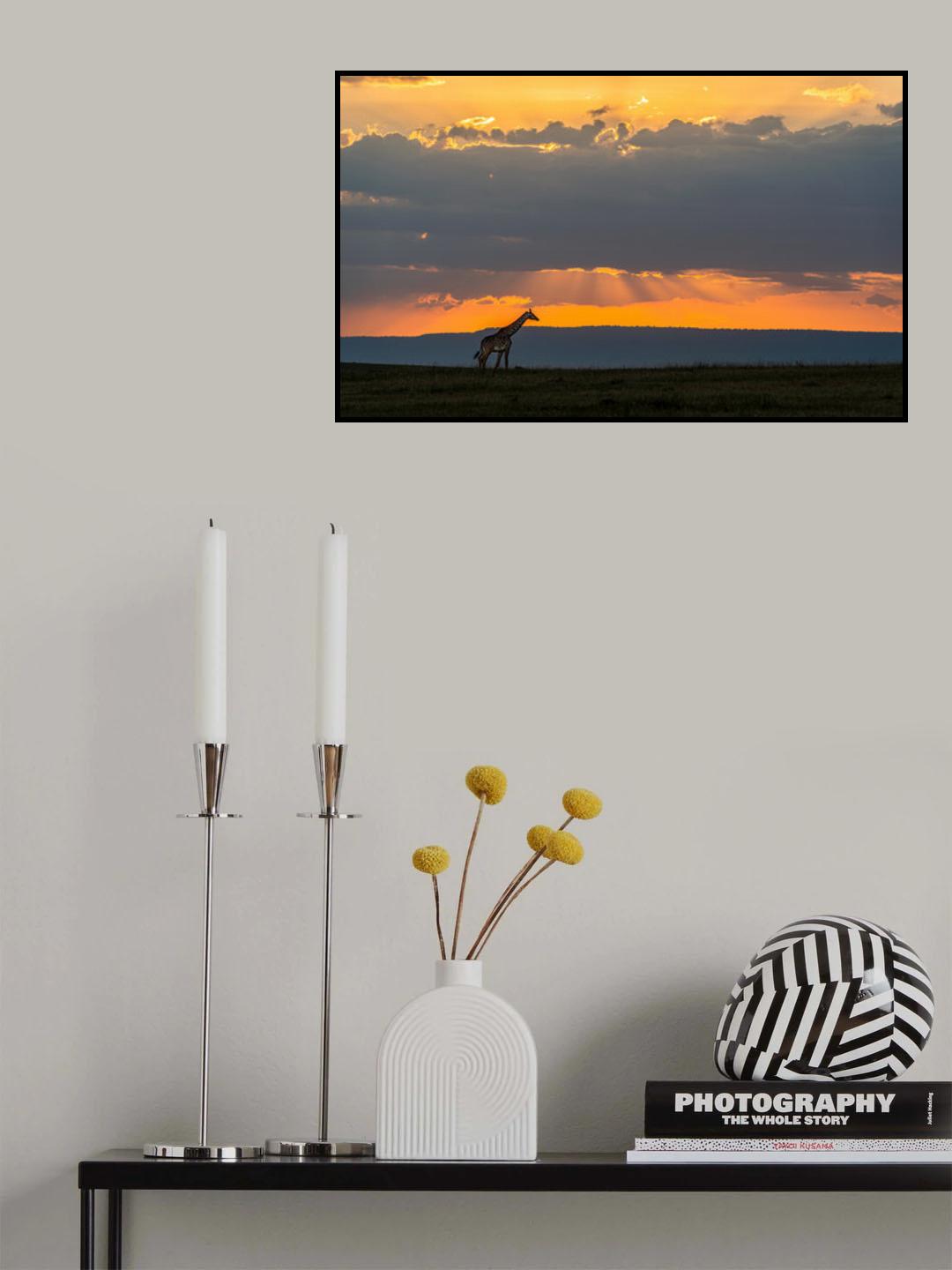 Giraffe at sunset Poster och Canvastavla
