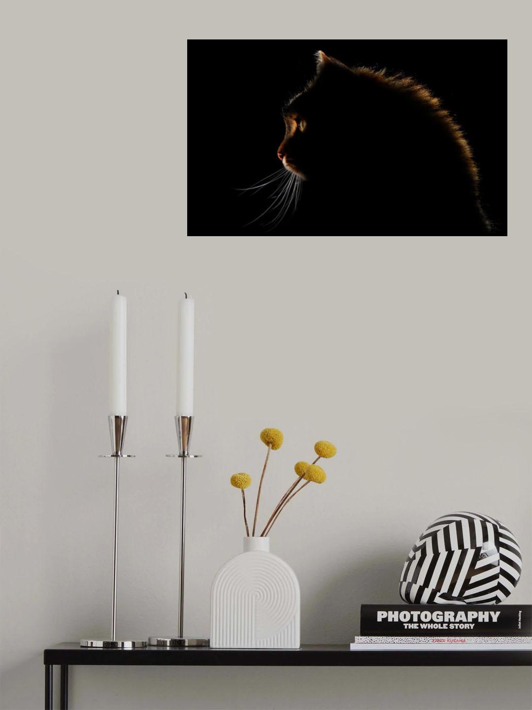 Poster och Canvastavla