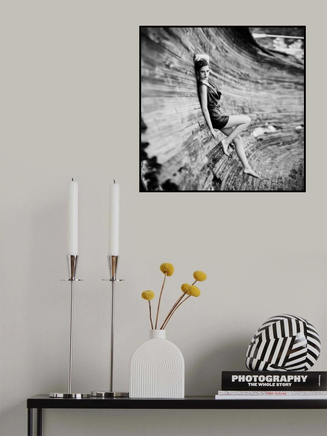 The curves of beauty Poster och Canvastavla