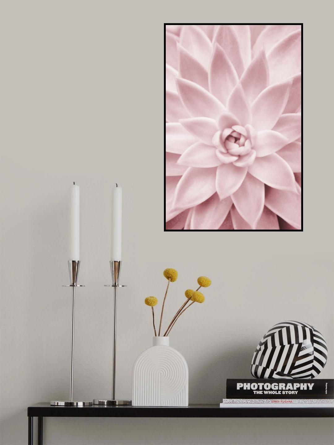 Pink Succulent Poster och Canvastavla