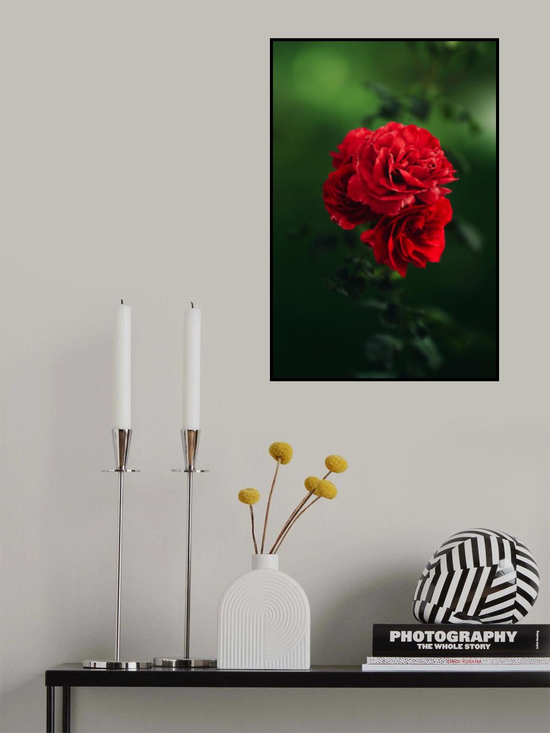 roses Poster och Canvastavla
