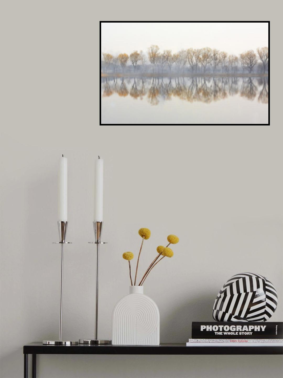Reflection Poster och Canvastavla