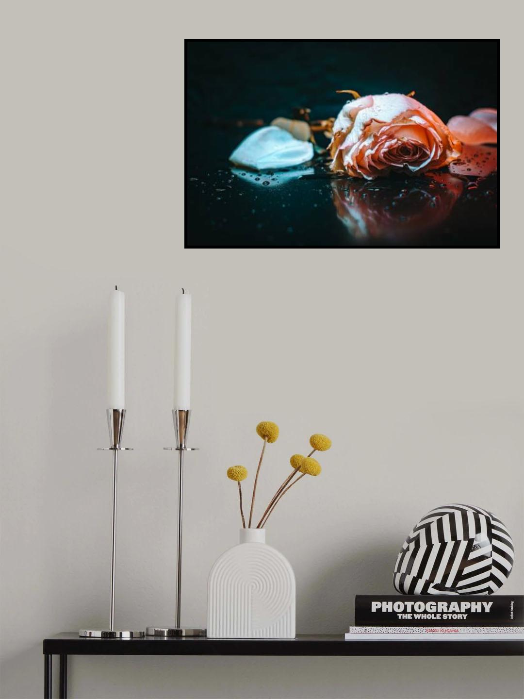 sad rose Poster och Canvastavla