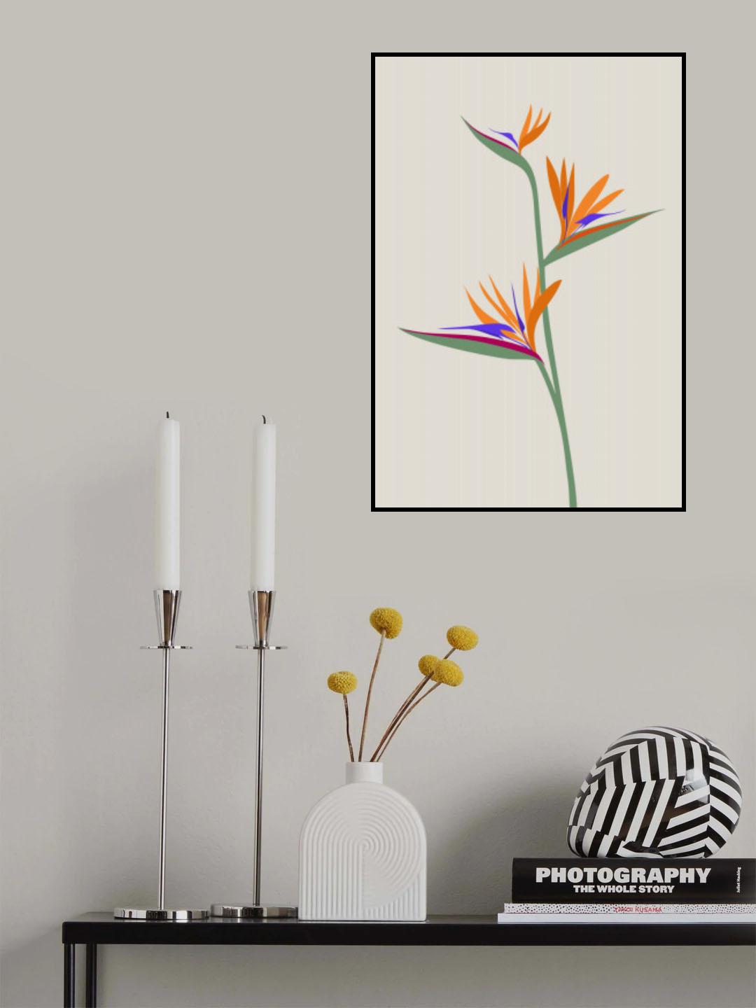 Bird of paradise Poster och Canvastavla