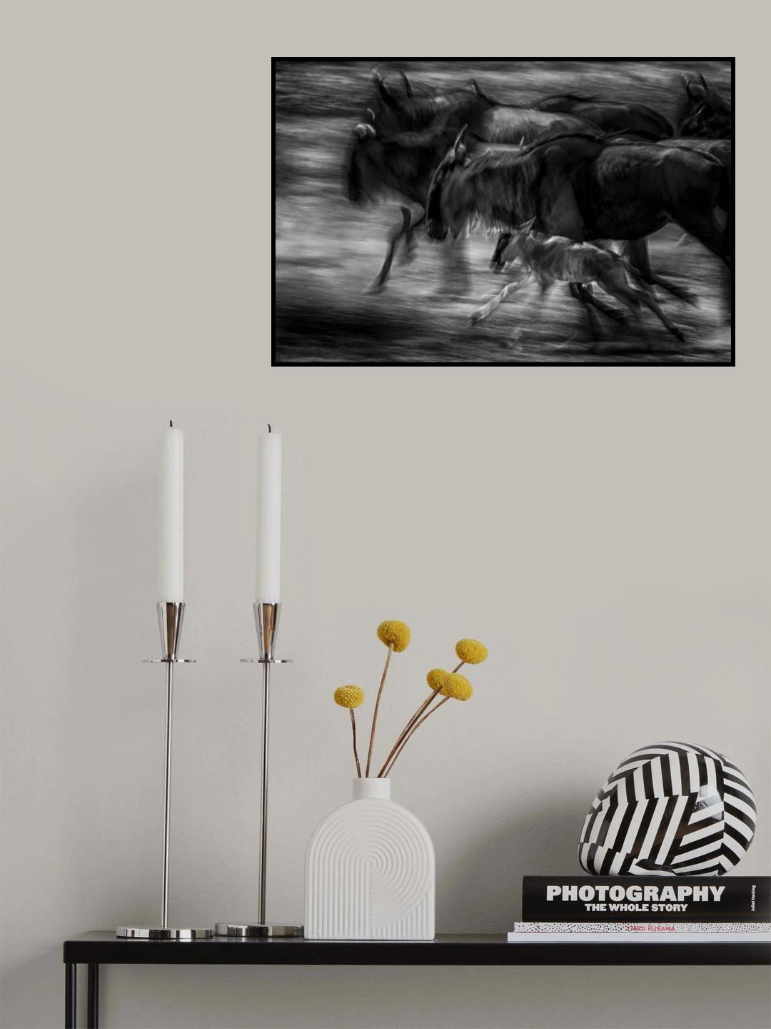 Born to be Wild bw Poster och Canvastavla