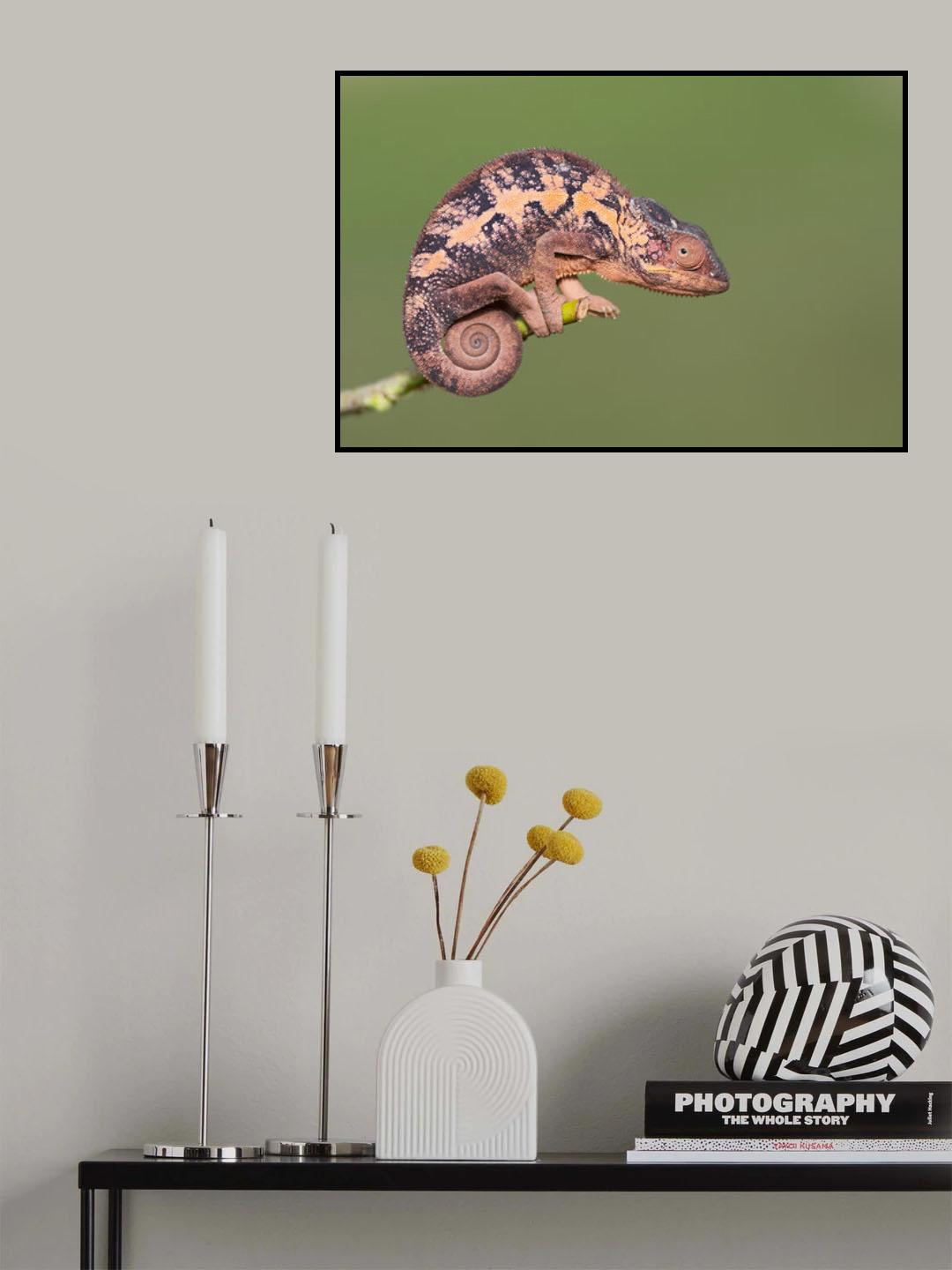 Lady Chameleon Poster och Canvastavla