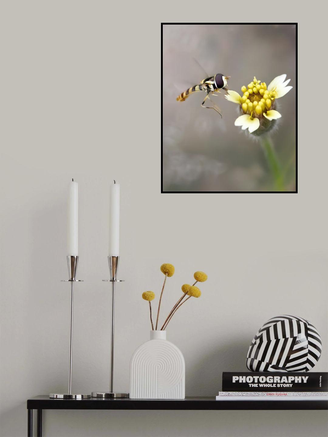 A Hover and The Flower Poster och Canvastavla