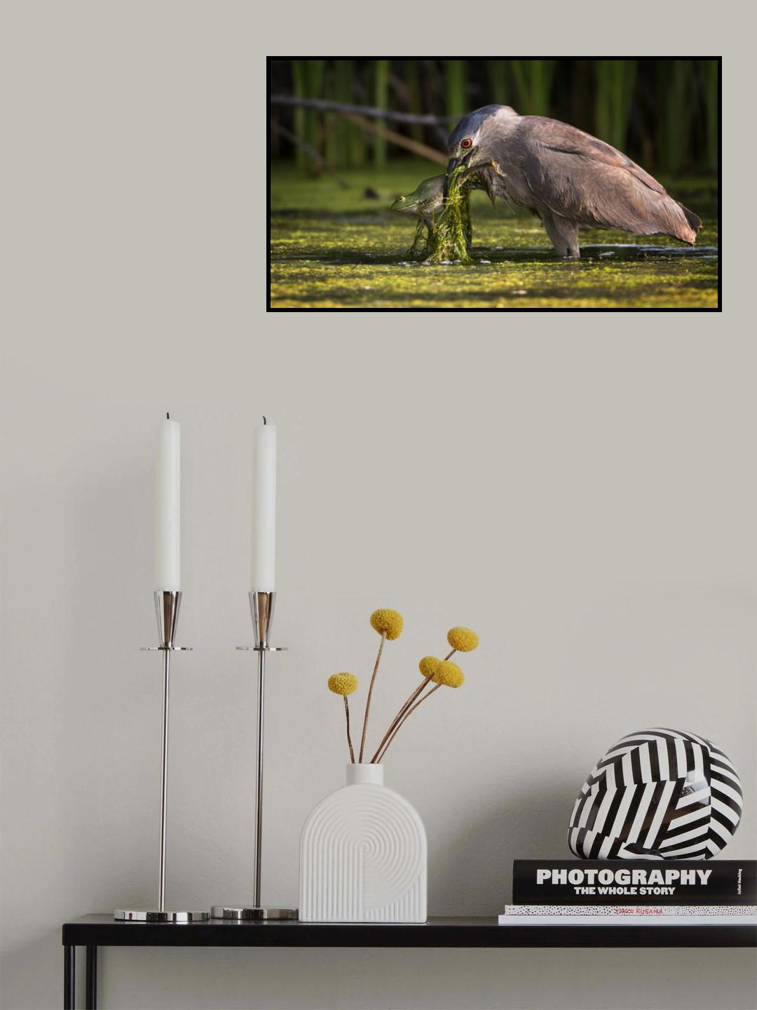 Gotcha! Poster och Canvastavla