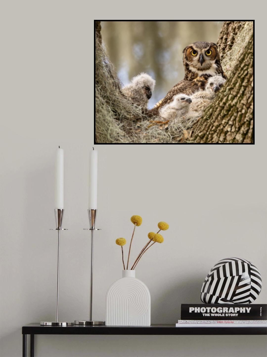 Watchful Poster och Canvastavla