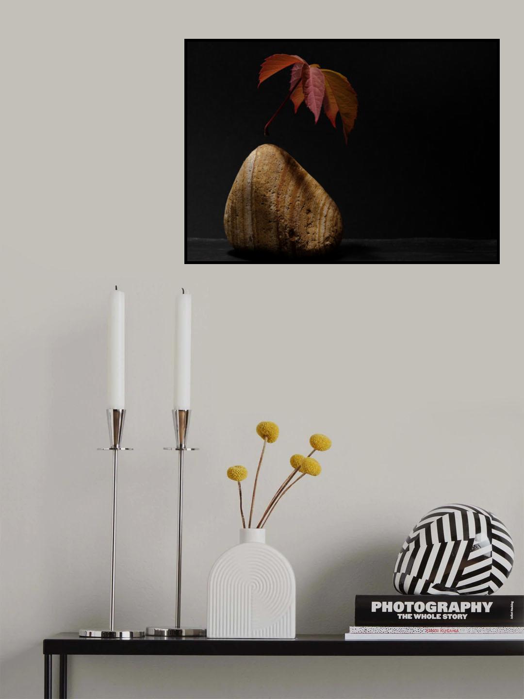 levitation Poster och Canvastavla
