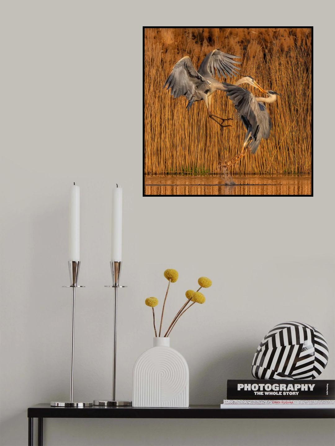 It Is a Fight Poster och Canvastavla