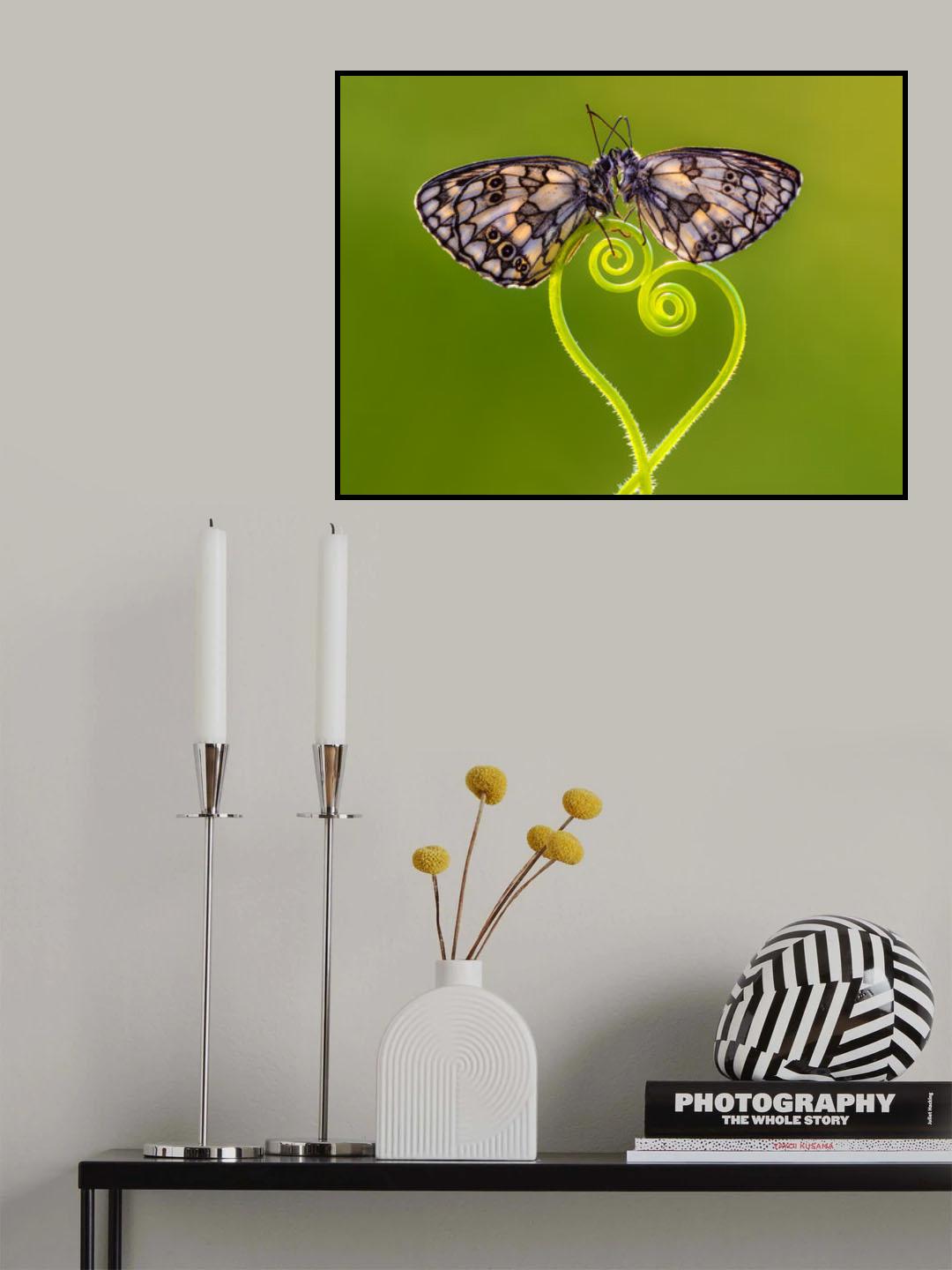 Only love matters Poster och Canvastavla