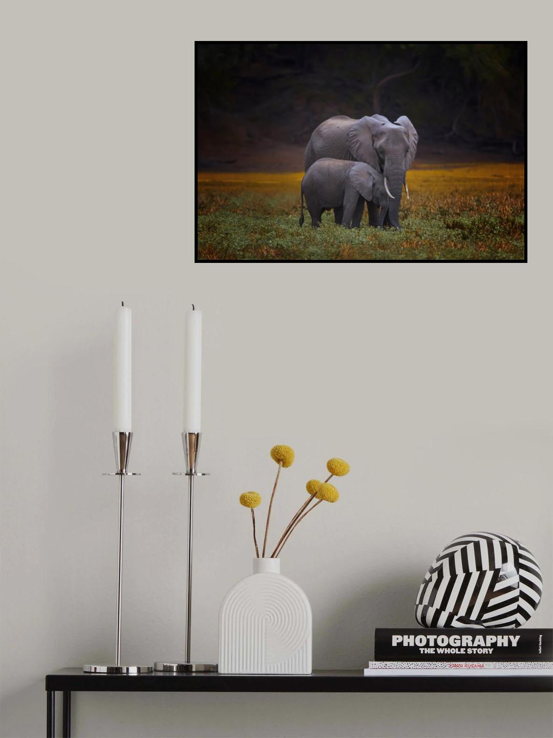 Snuggle Poster och Canvastavla