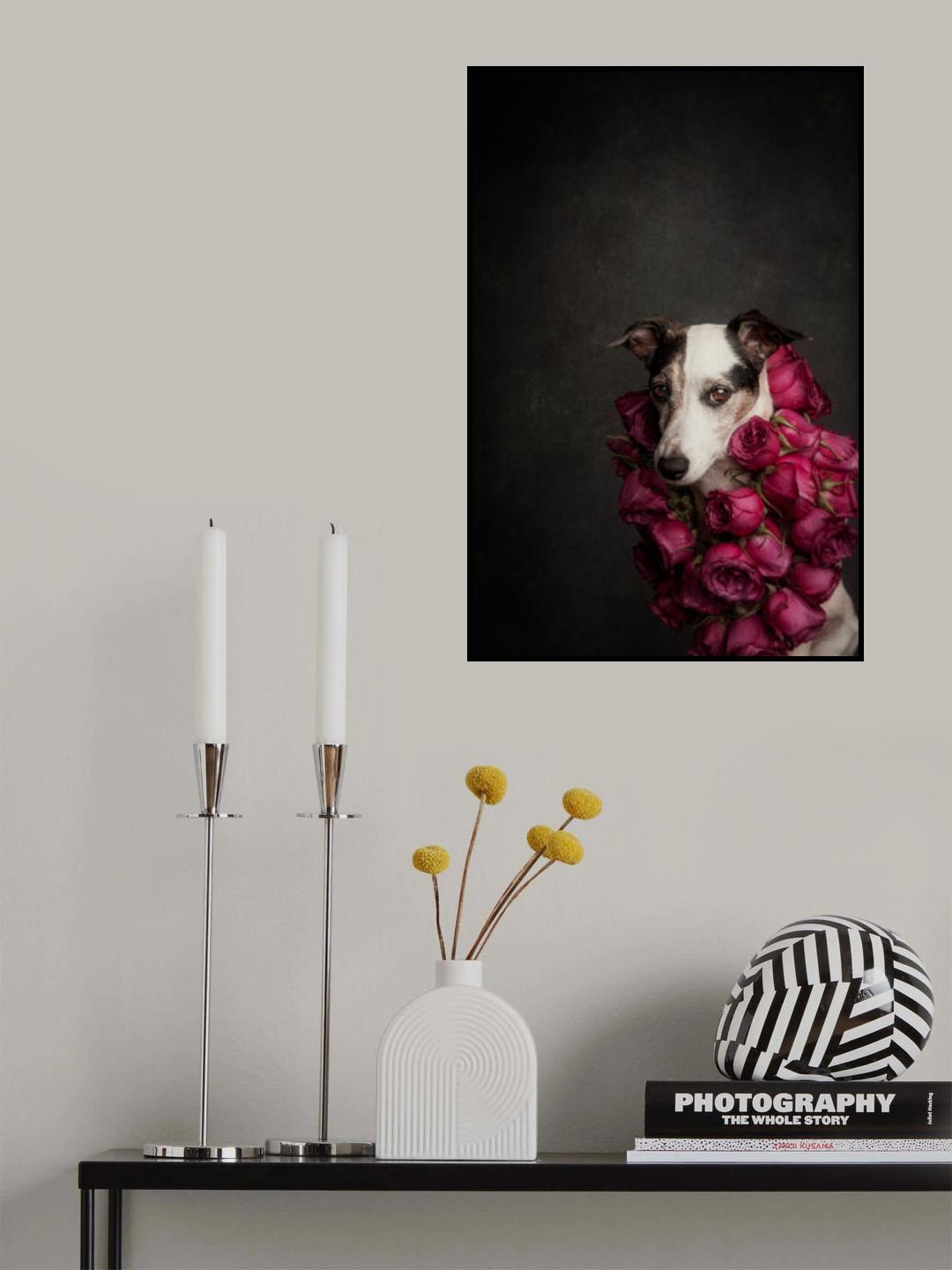 Rose Queen II Poster och Canvastavla