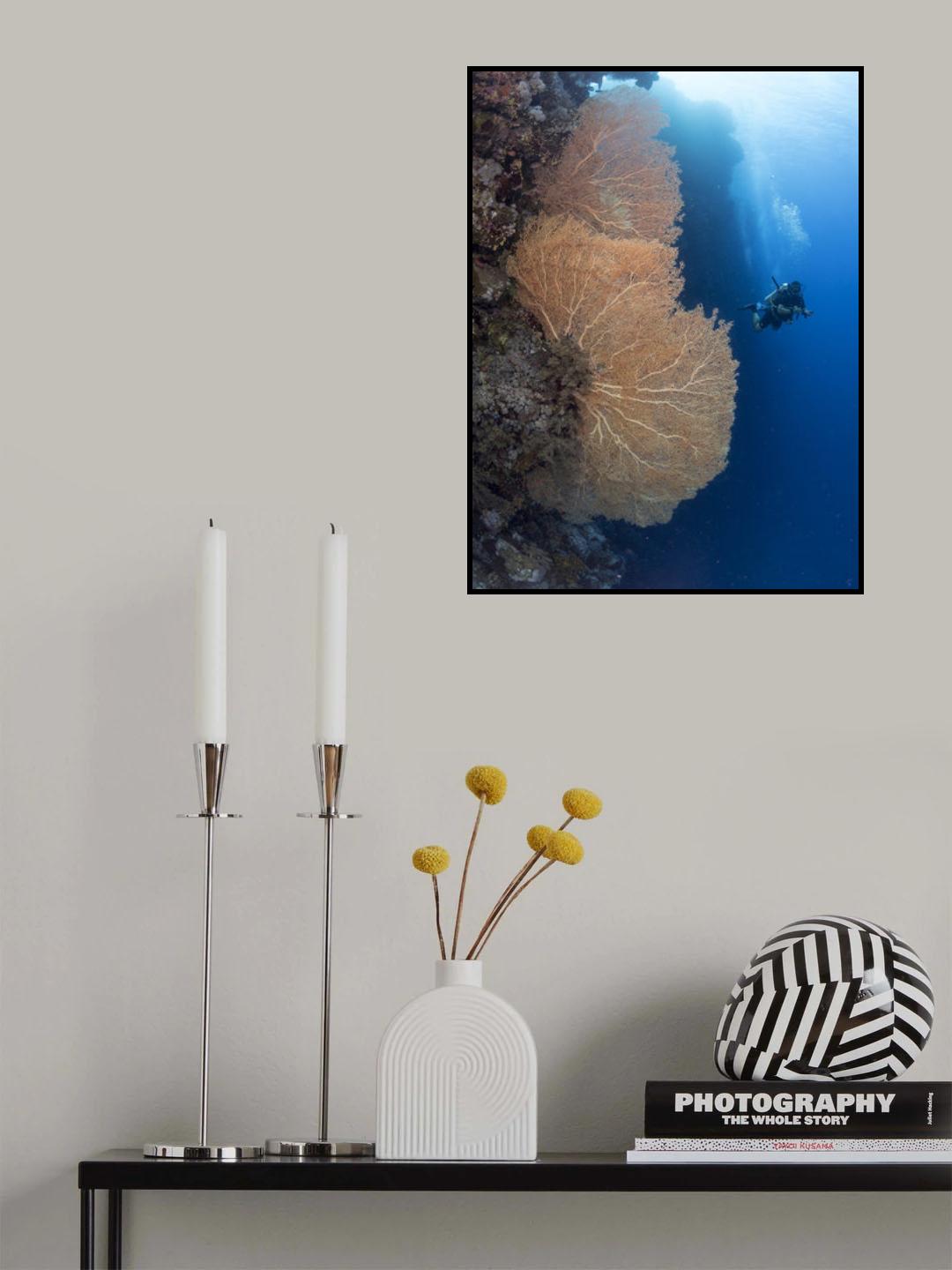Gorgonian Coral and a diver Poster och Canvastavla