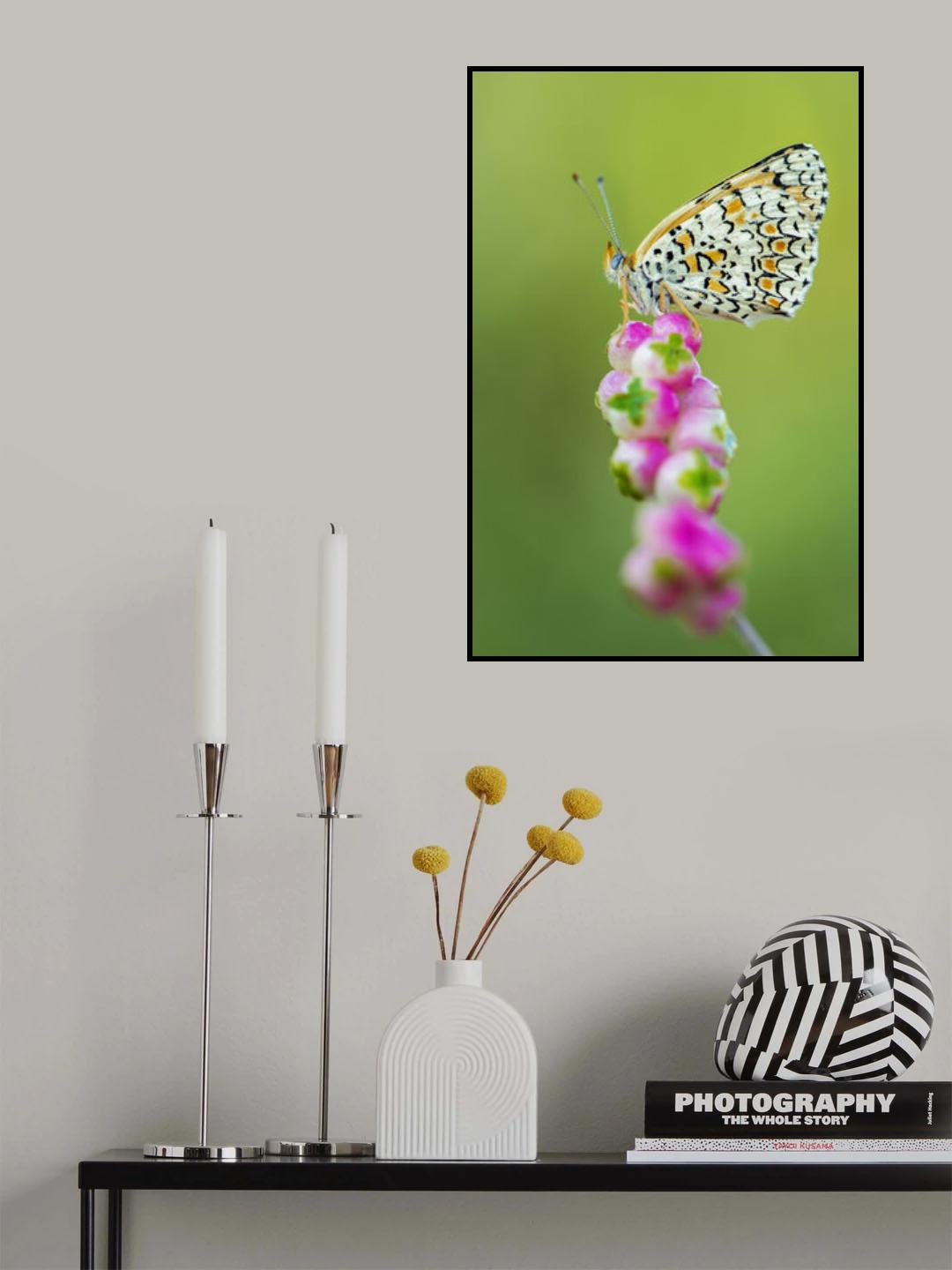 Butterfly at the tip Poster och Canvastavla