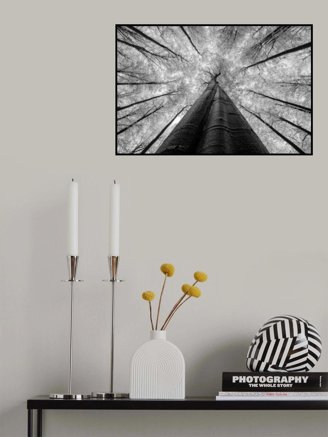 Spring mood Poster och Canvastavla