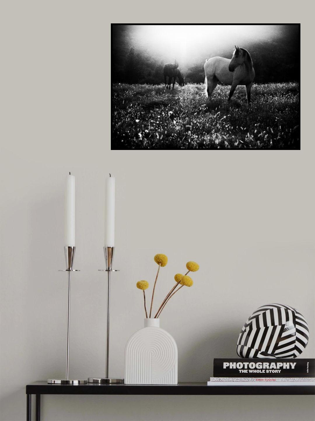 Come home Poster och Canvastavla