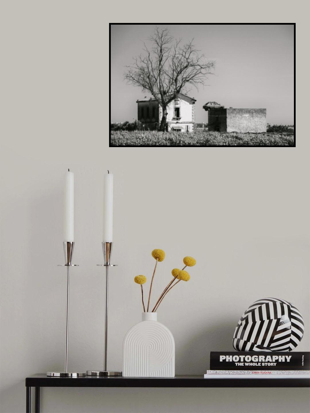 127 why Poster och Canvastavla