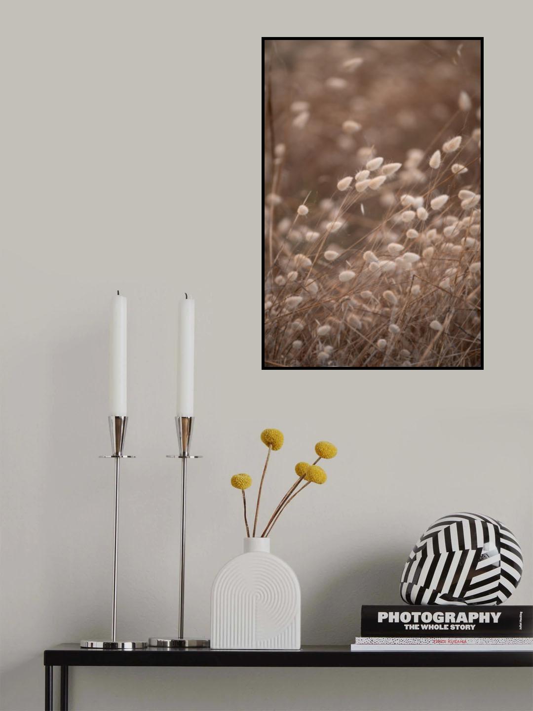 hares tail Poster och Canvastavla