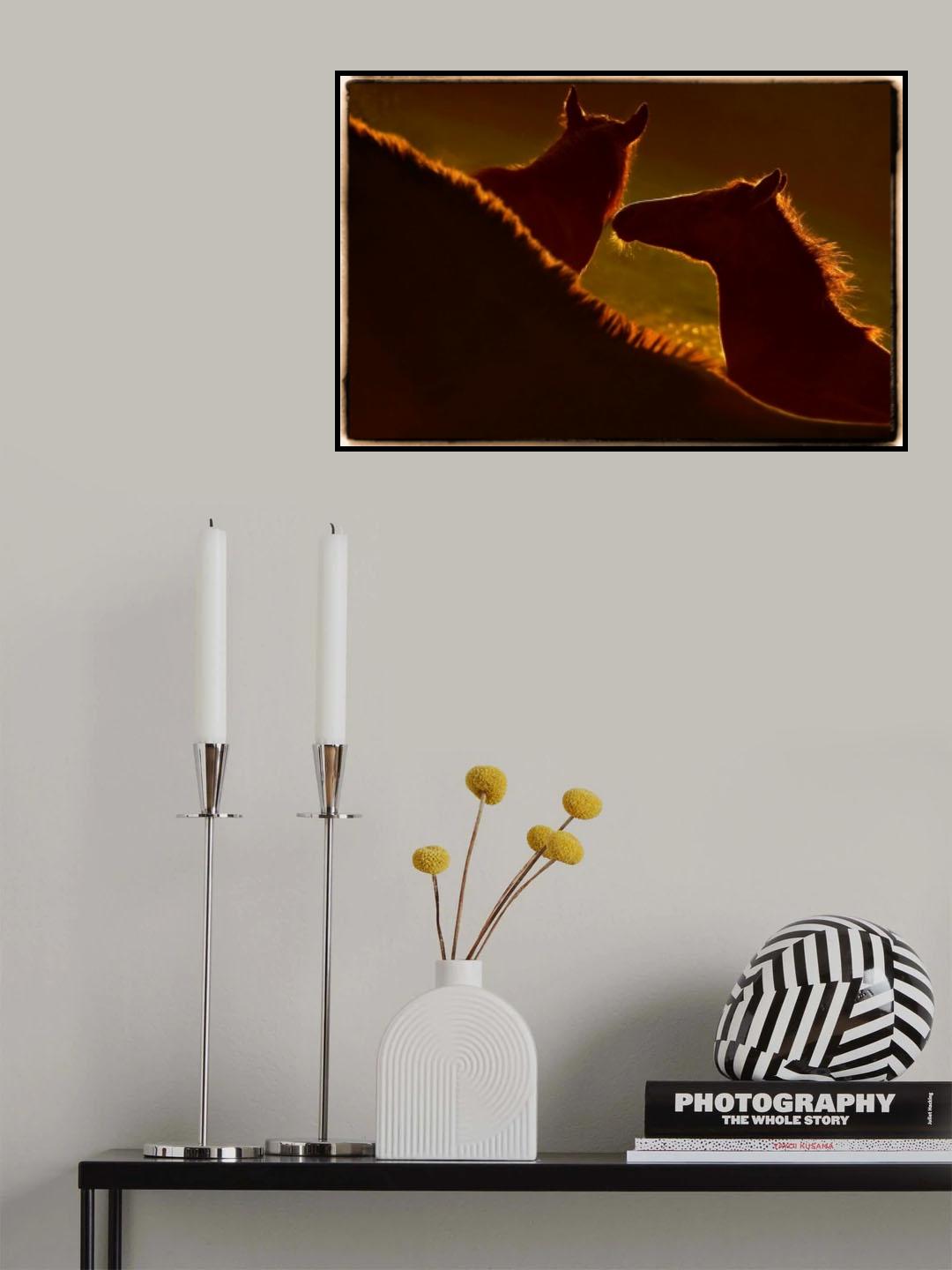 Kontour Poster och Canvastavla