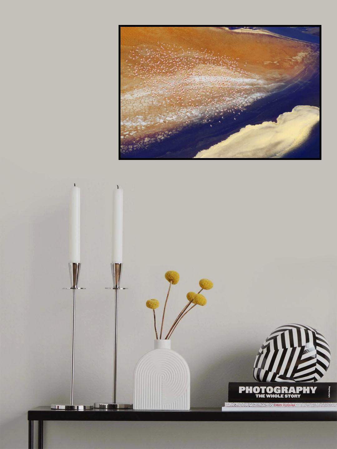 The lake and bird Poster och Canvastavla