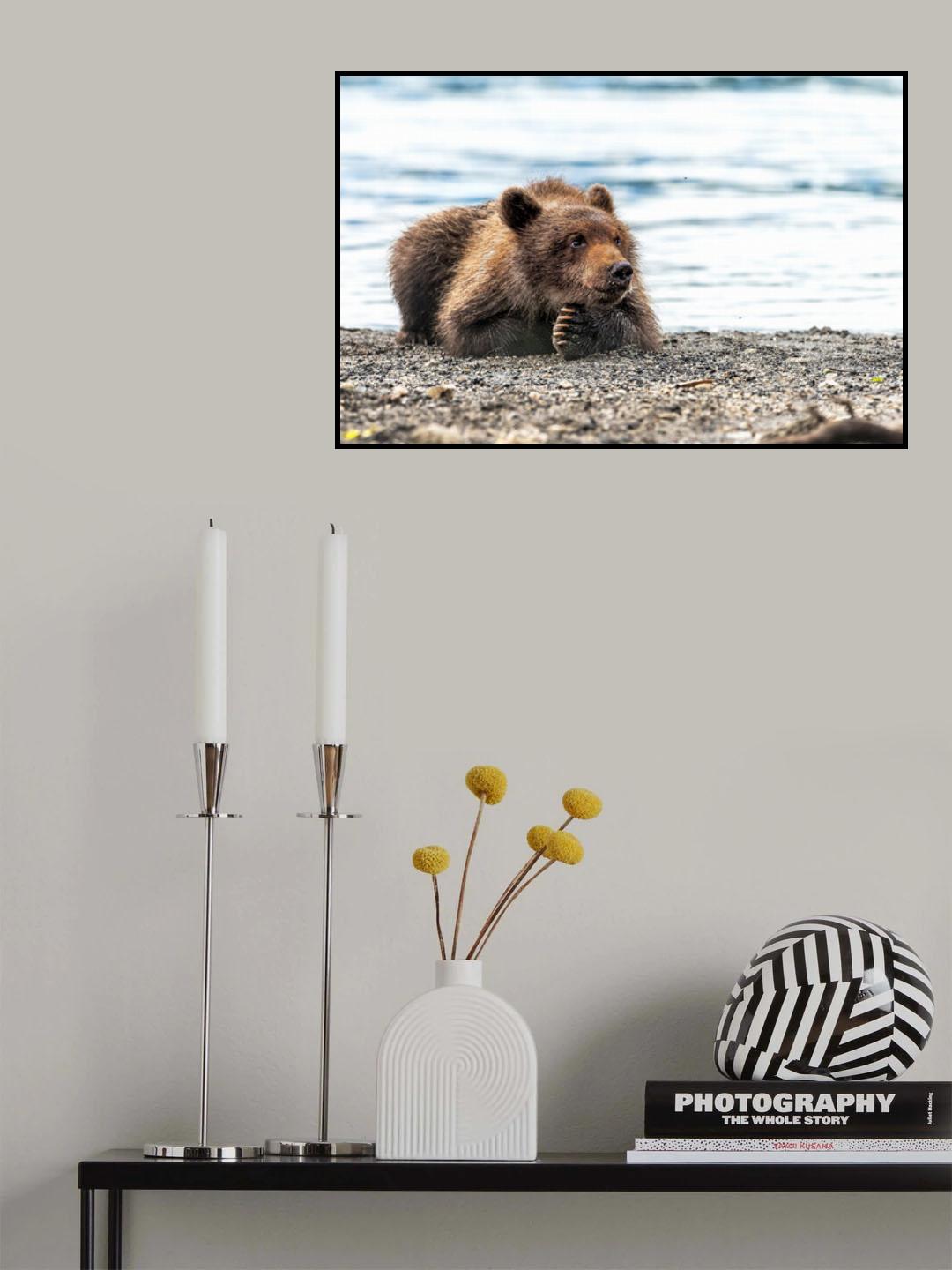 Meditation Poster och Canvastavla
