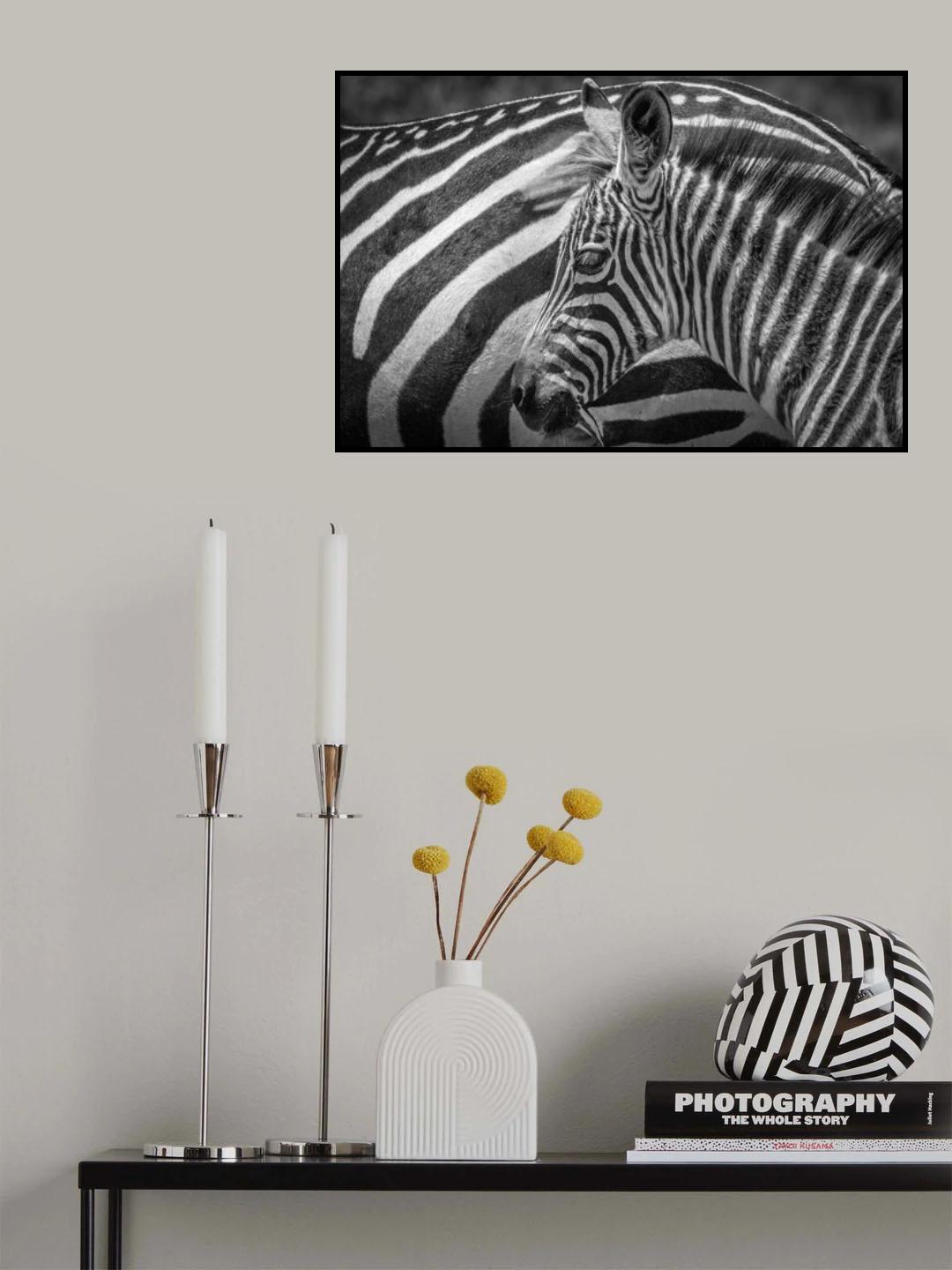 A striped monochrome Poster och Canvastavla