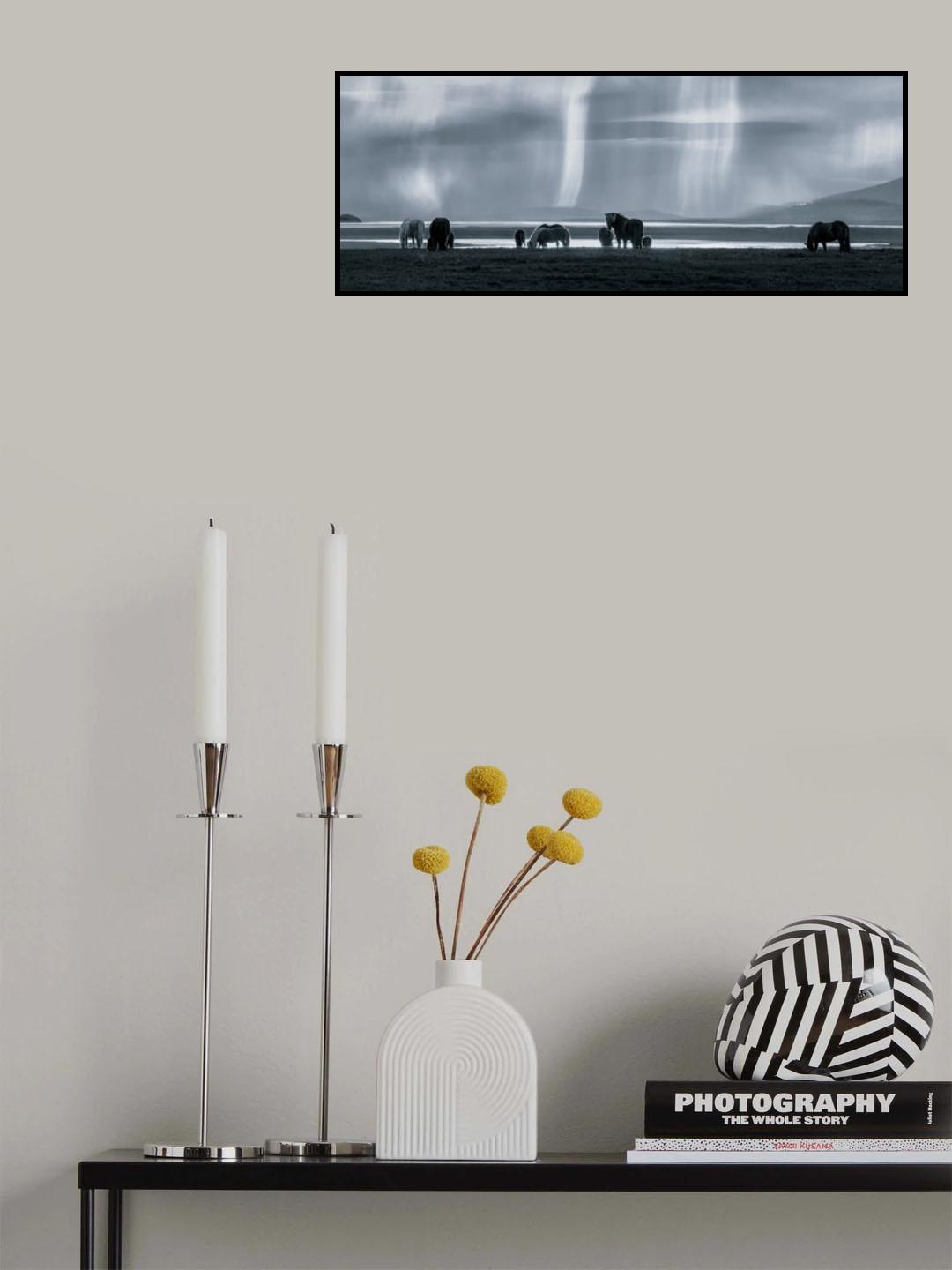 Poster och Canvastavla