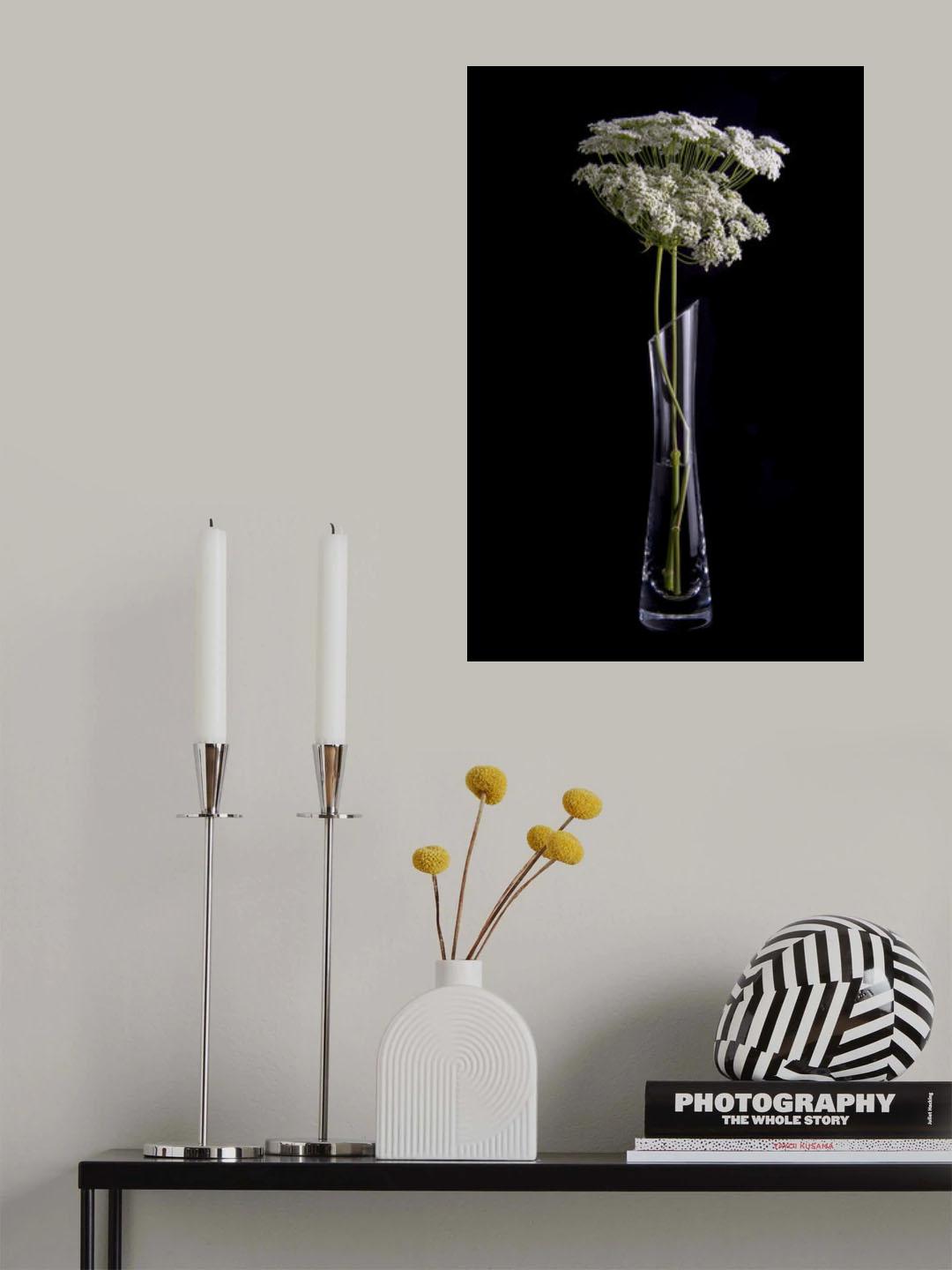 Flores Poster och Canvastavla