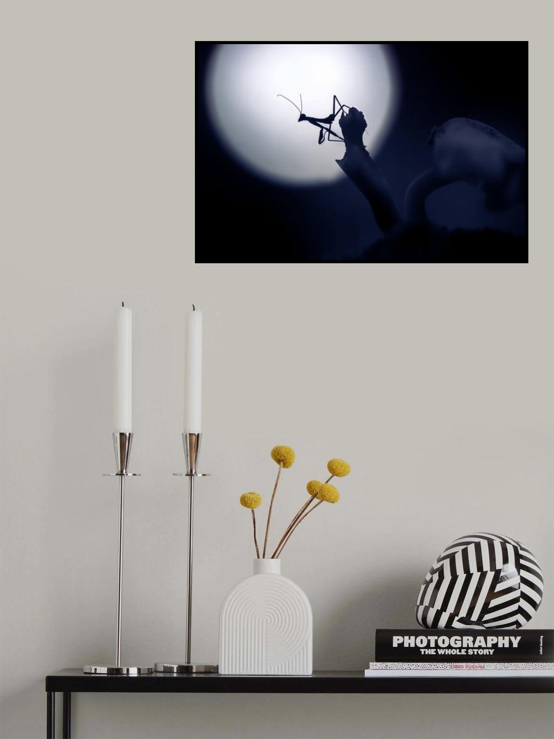 Mystical Little Mantis Poster och Canvastavla