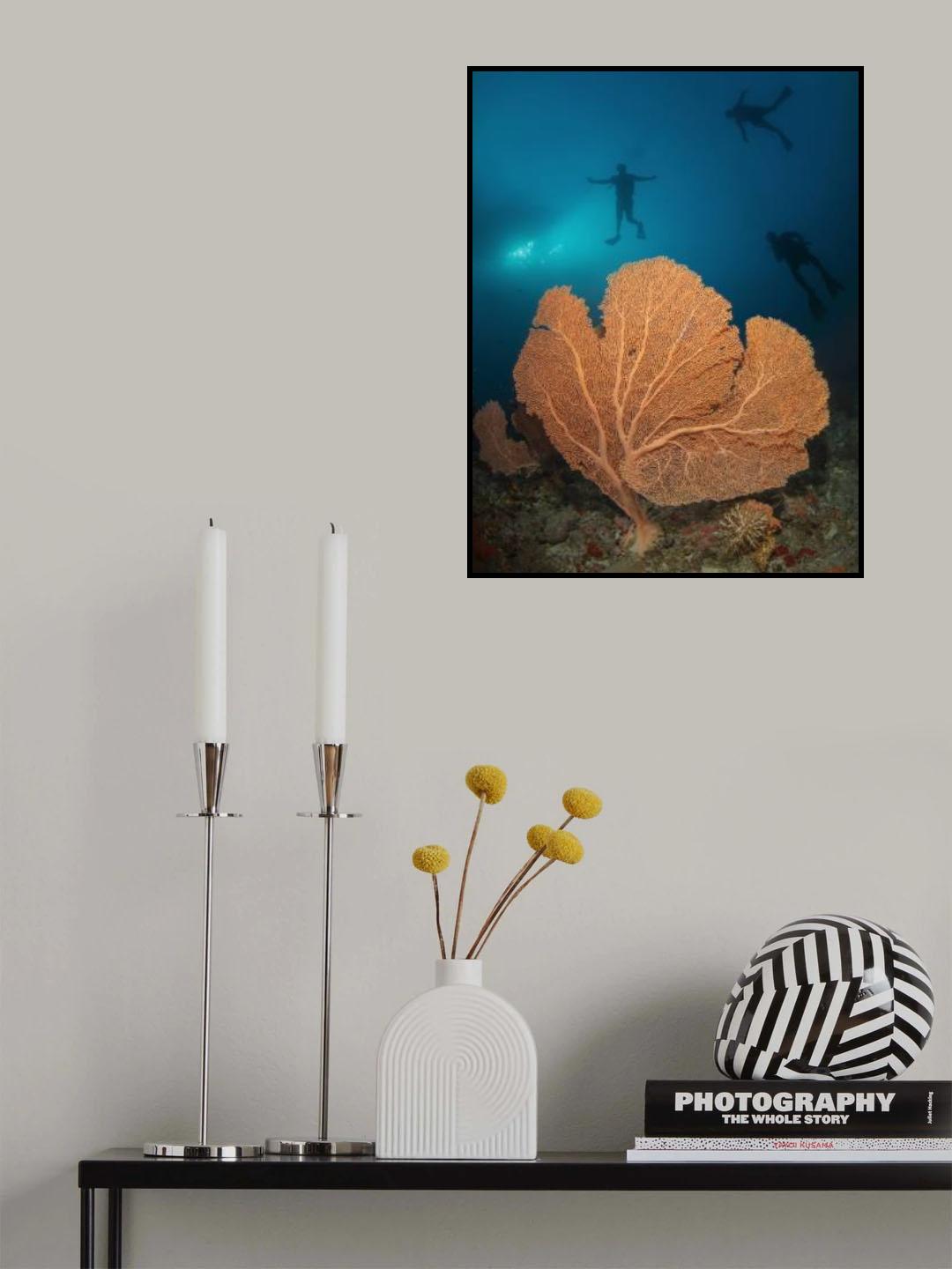 Gorgonian Poster och Canvastavla