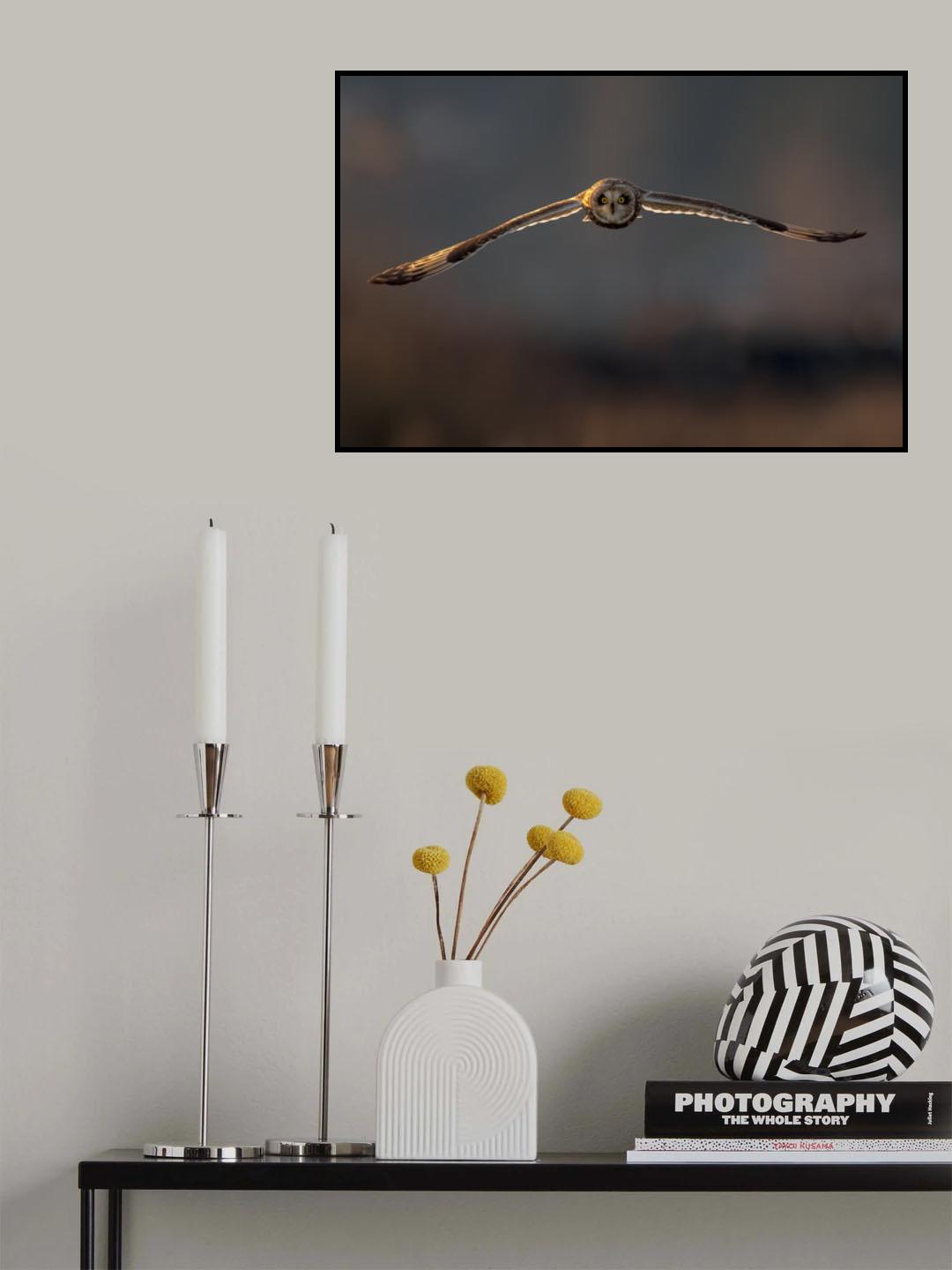 Flying to me Poster och Canvastavla