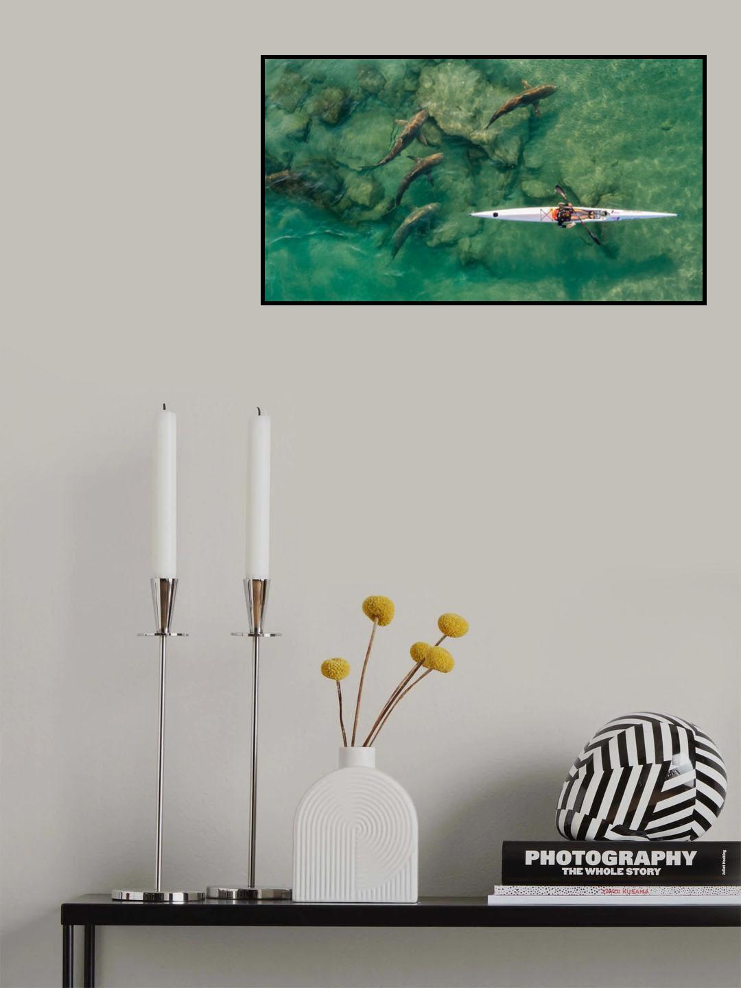Sharkcompanion Poster och Canvastavla