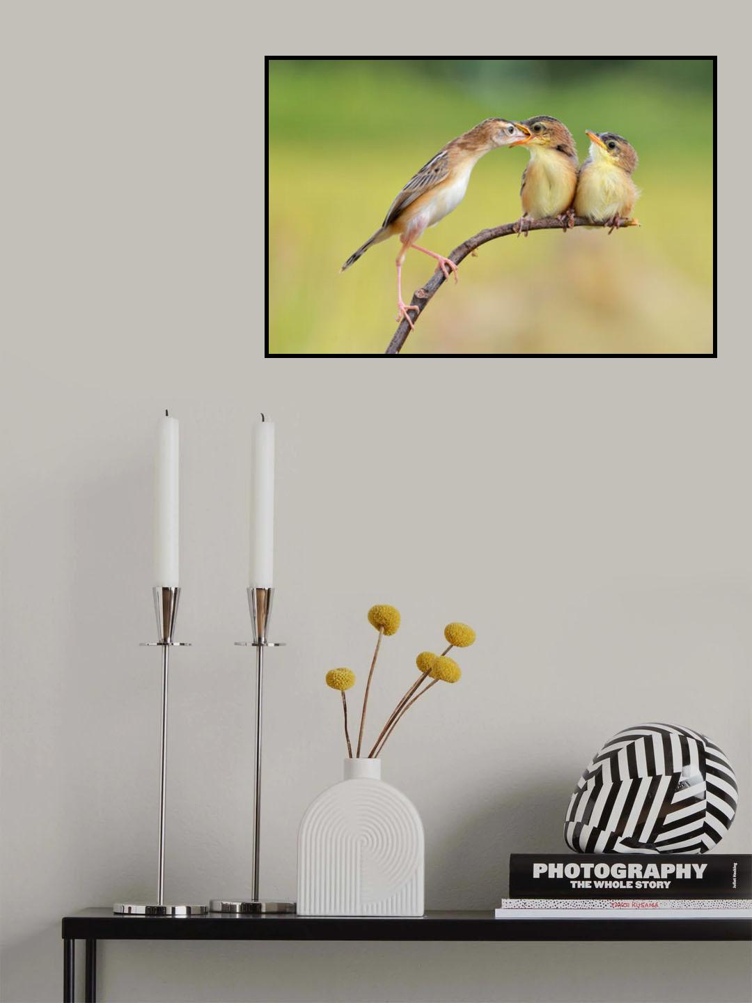 Bird Feeding Babies Poster och Canvastavla