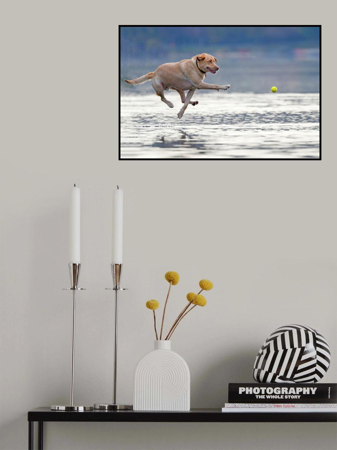 Dance above the water Poster och Canvastavla