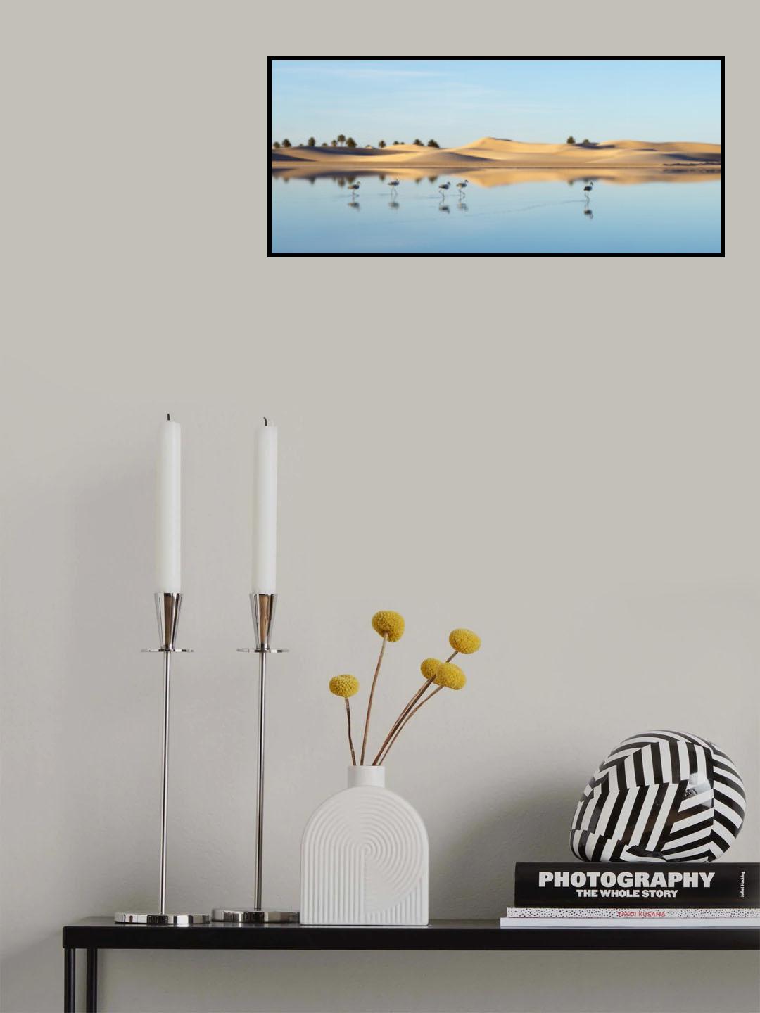 Flamingo in Ouargla Poster och Canvastavla