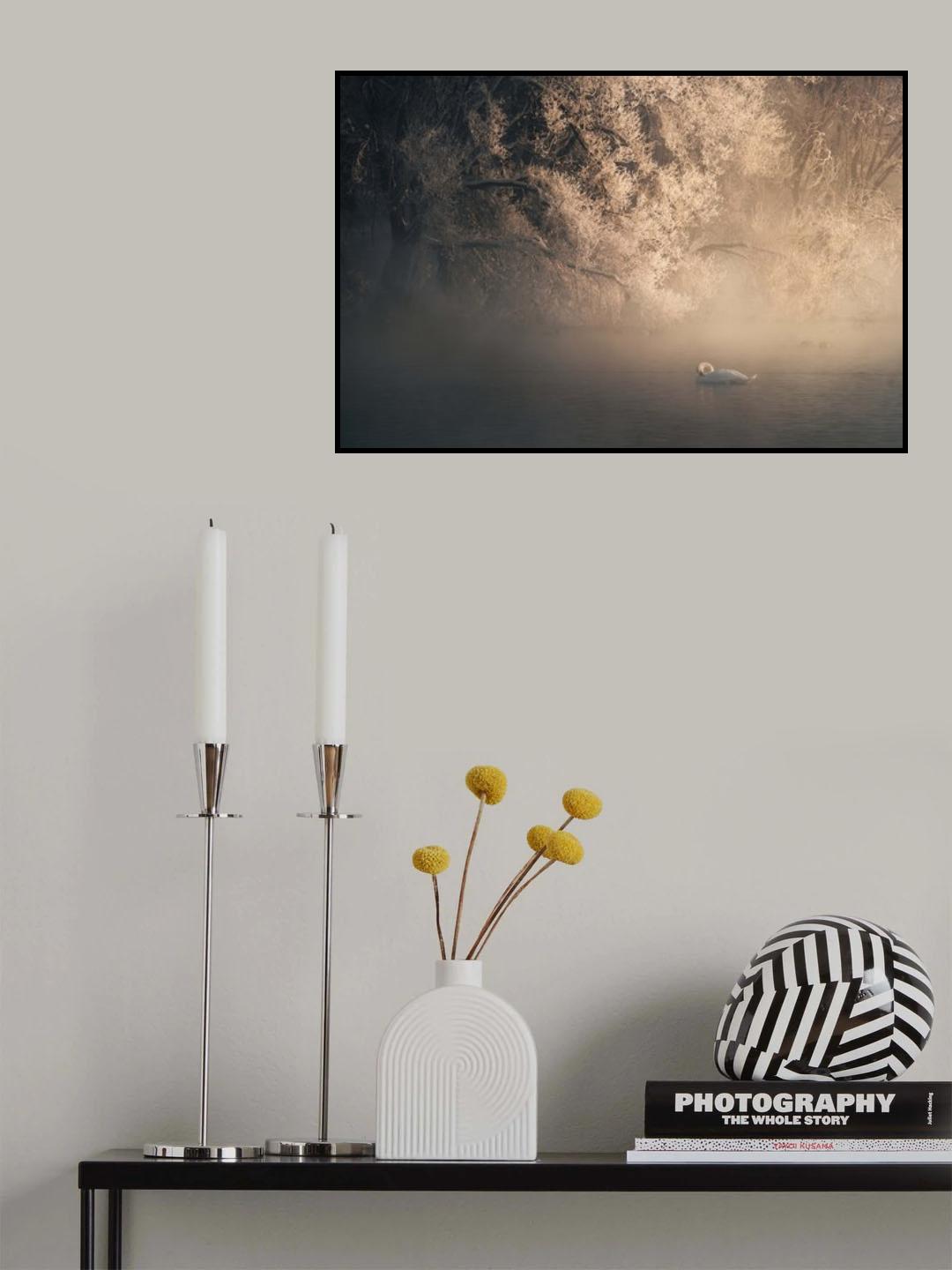Elegance Poster och Canvastavla