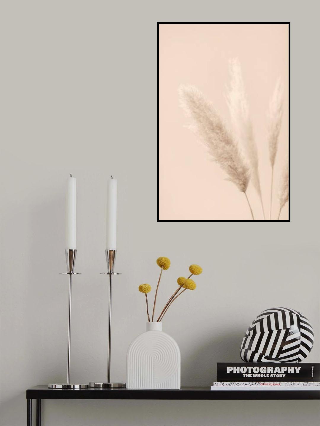 Pampas Grass Beige 08 Poster och Canvastavla