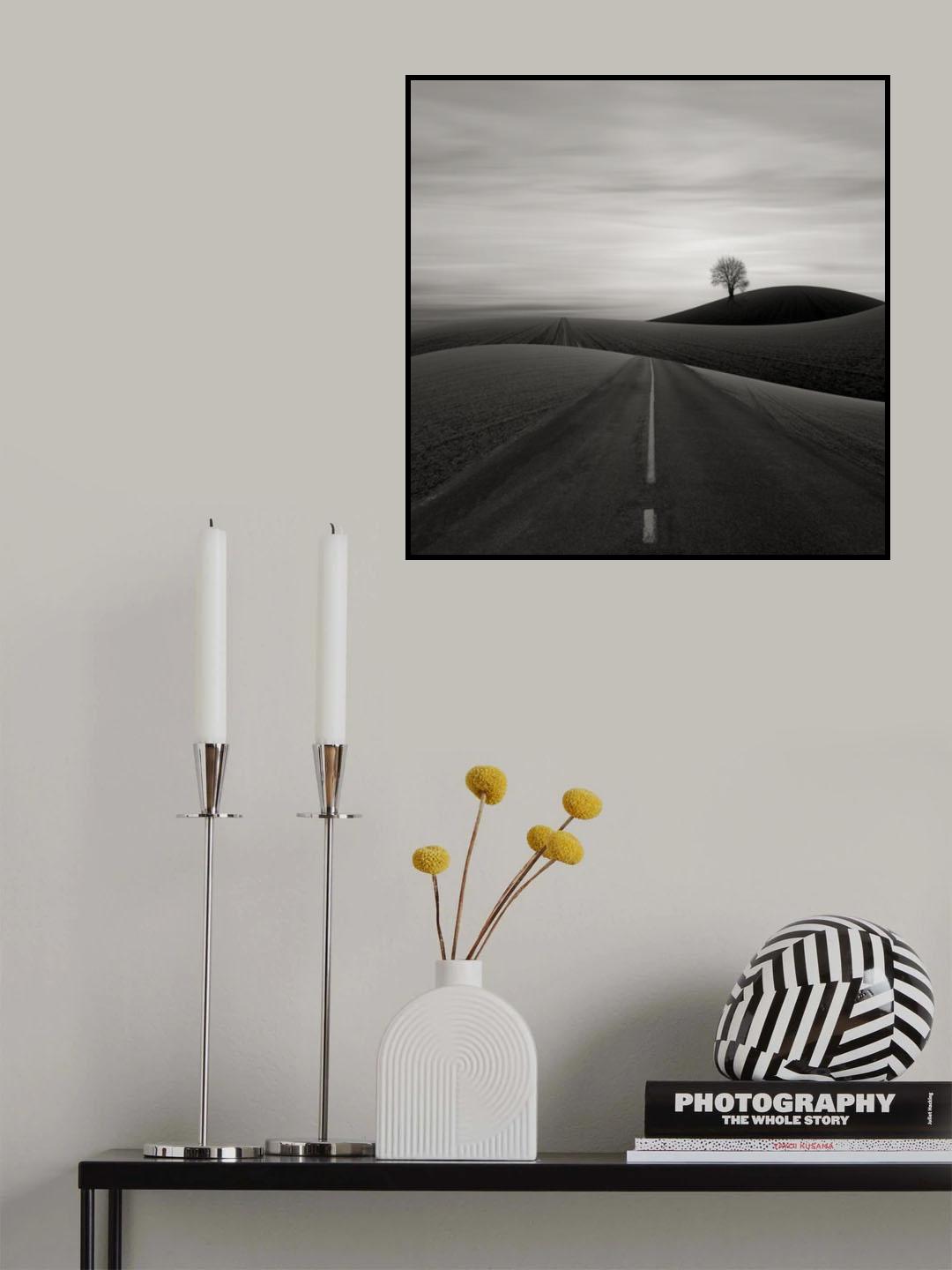 Winter Tree Poster och Canvastavla
