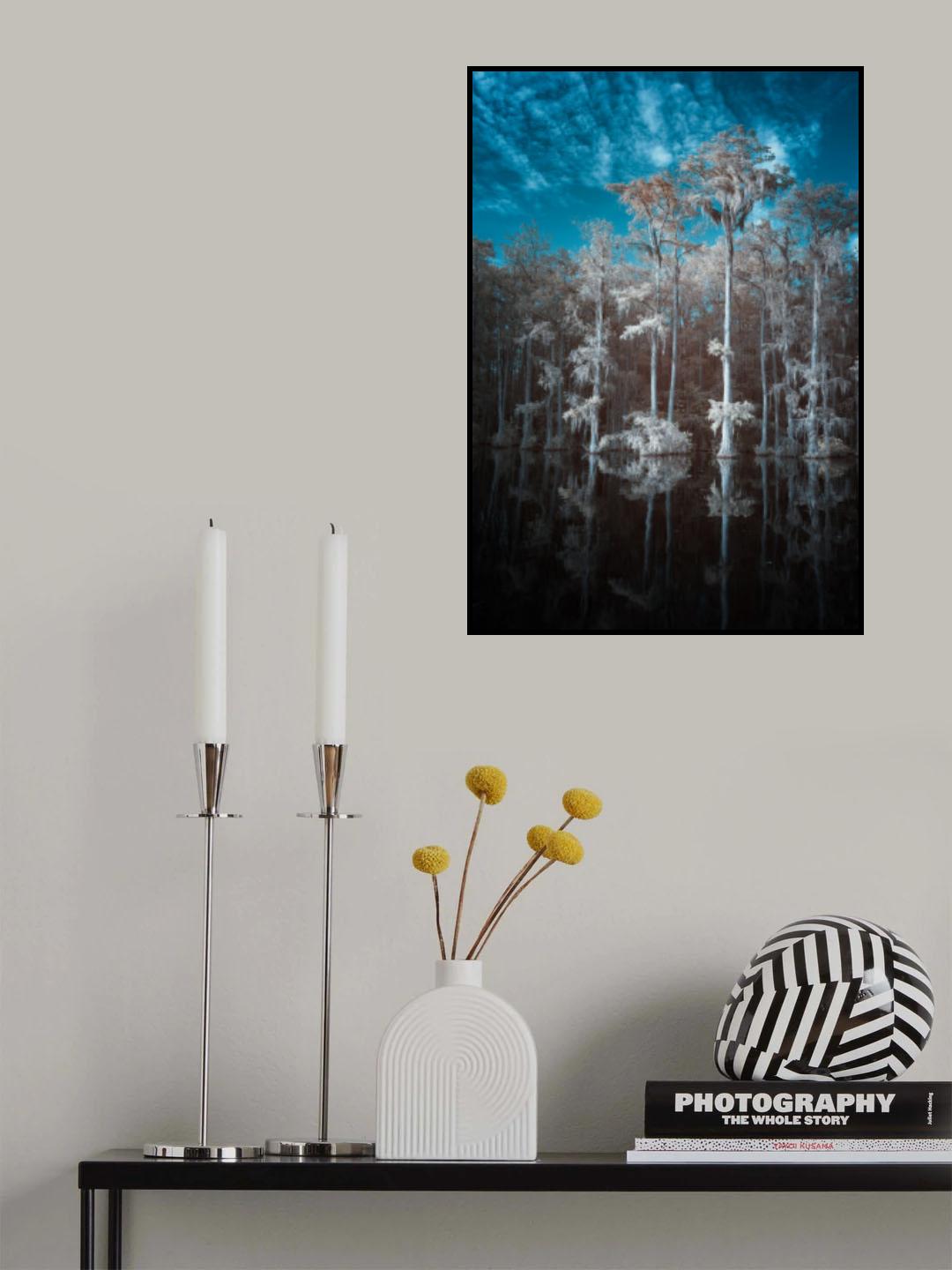 Cypress Study #1 Poster och Canvastavla