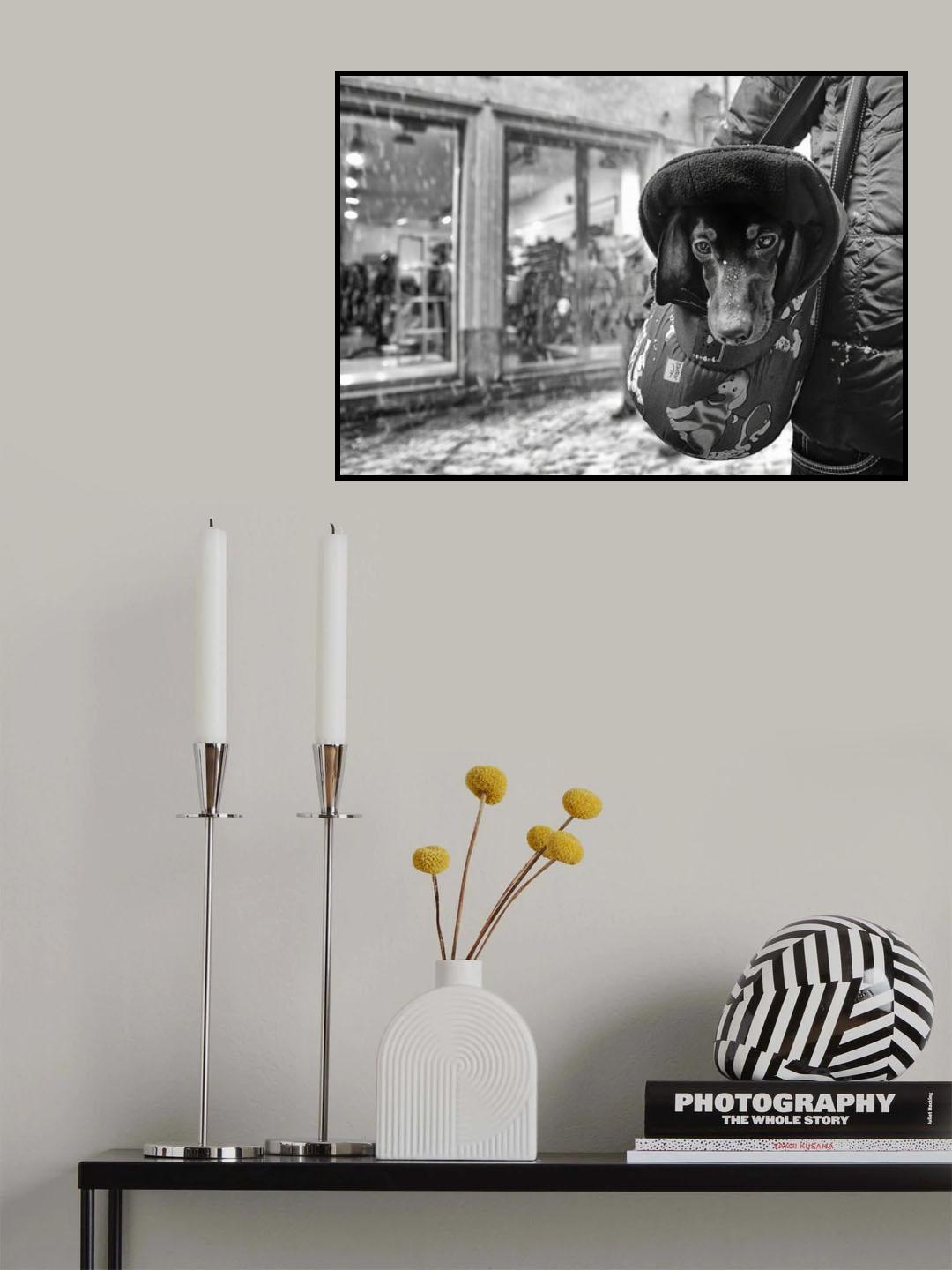 it snows in the city, and I ...... Poster och Canvastavla
