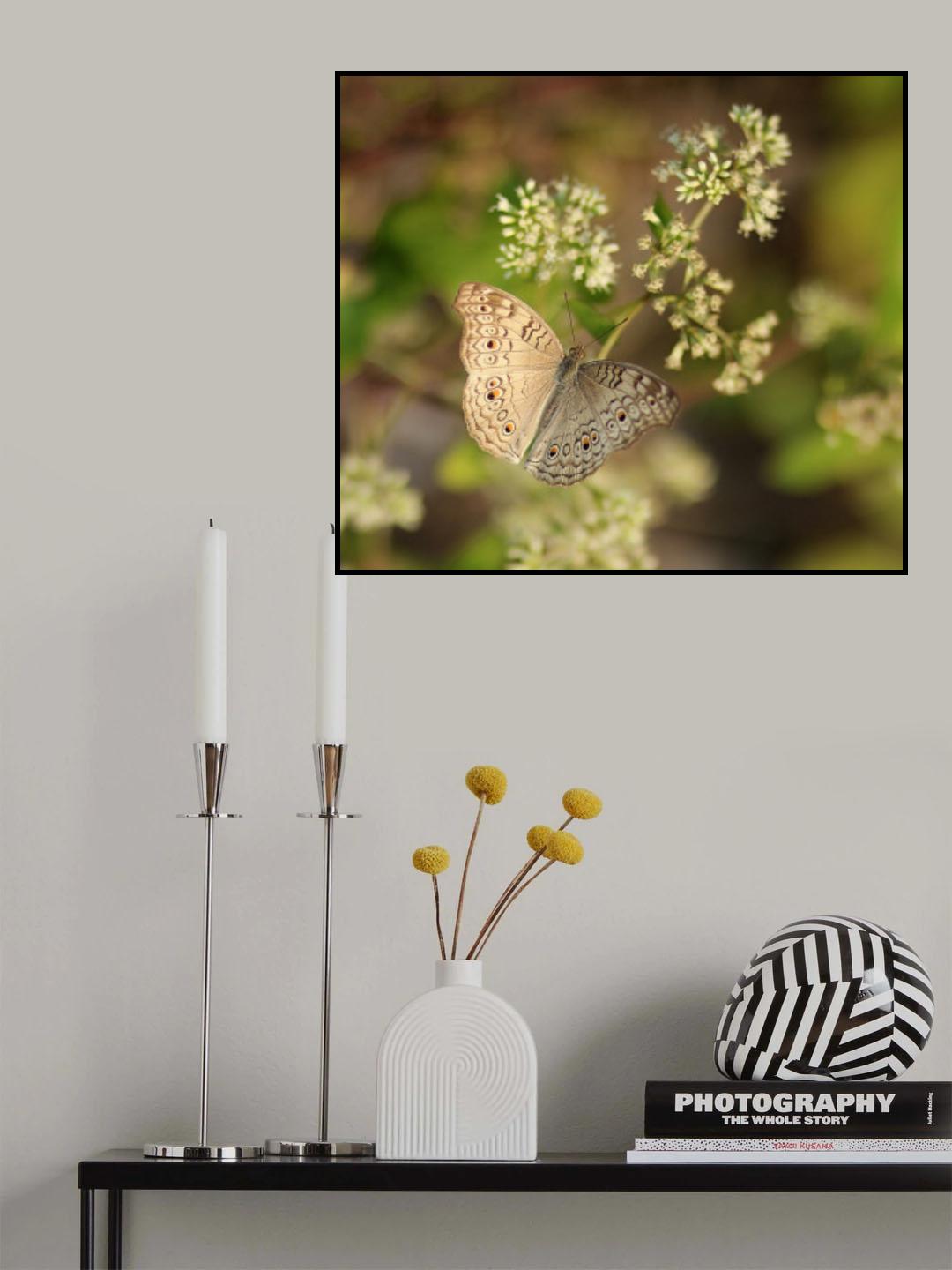 Butterflies can't see their wings Poster och Canvastavla