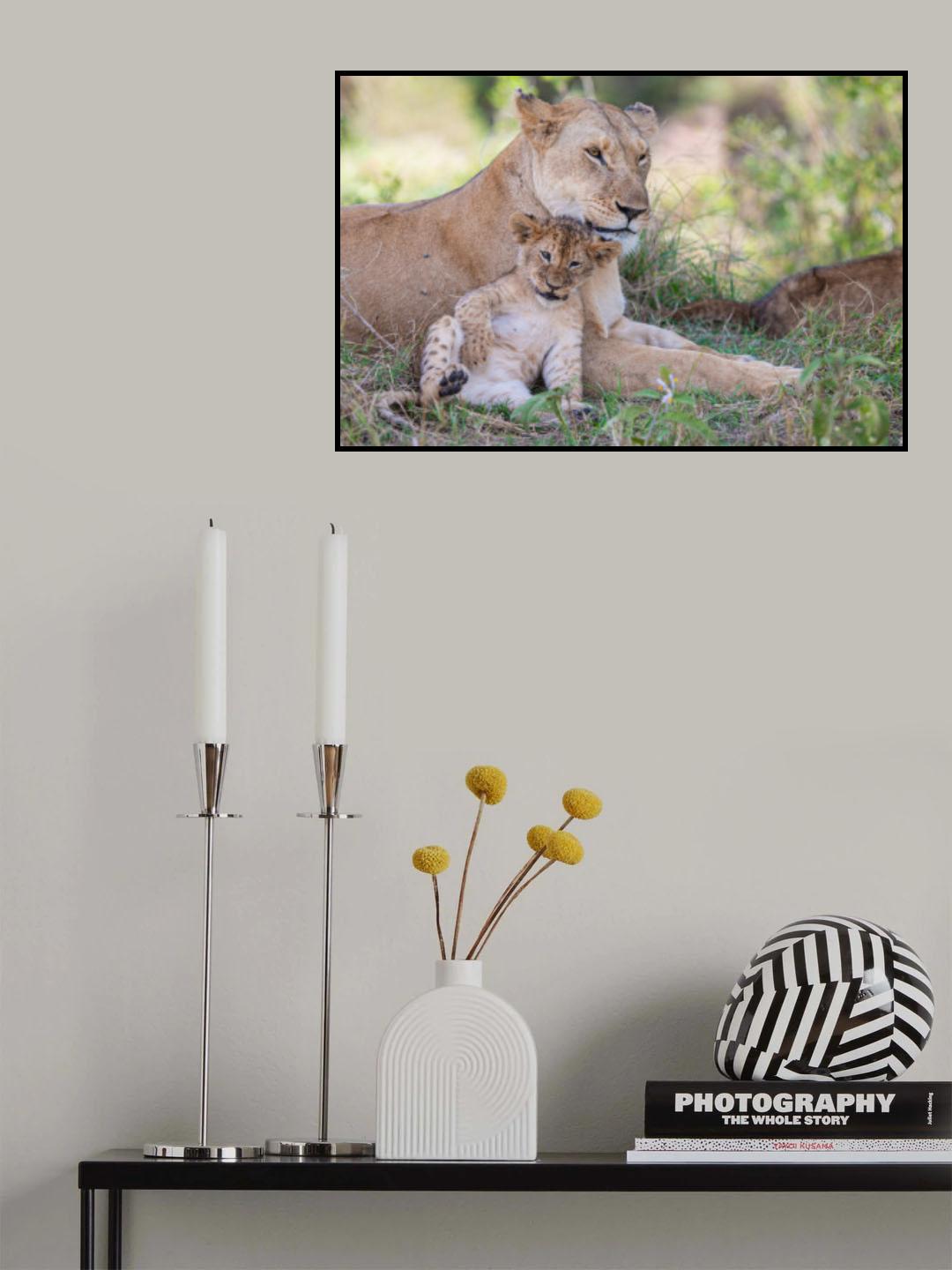 Silly Kitty Poster och Canvastavla