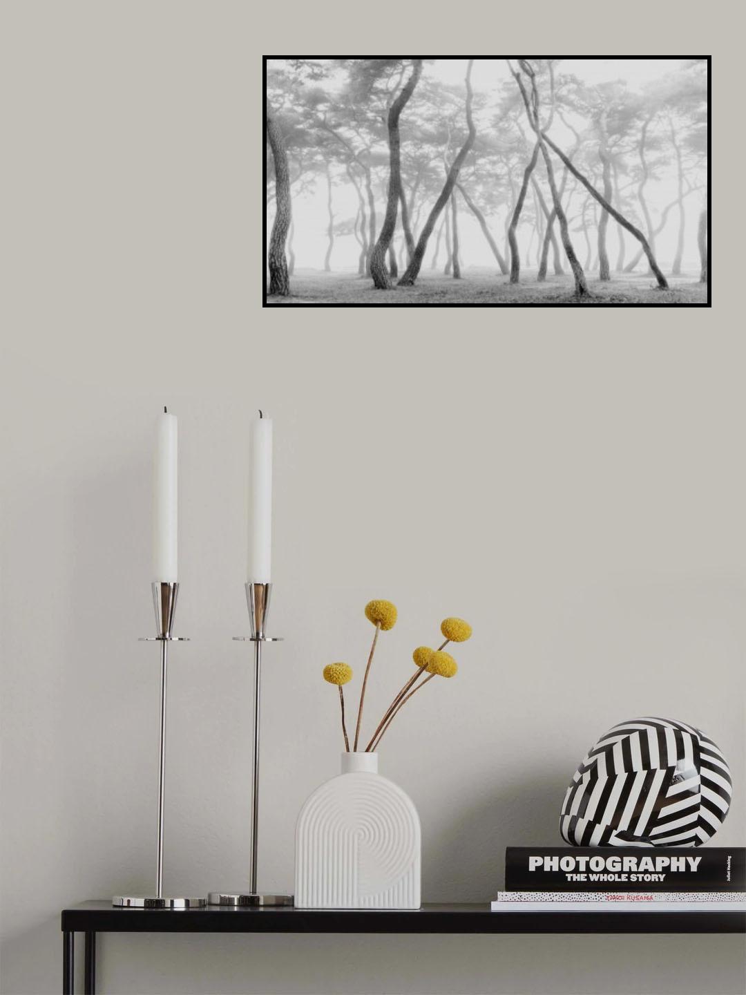 Mist Pine Forest Poster och Canvastavla
