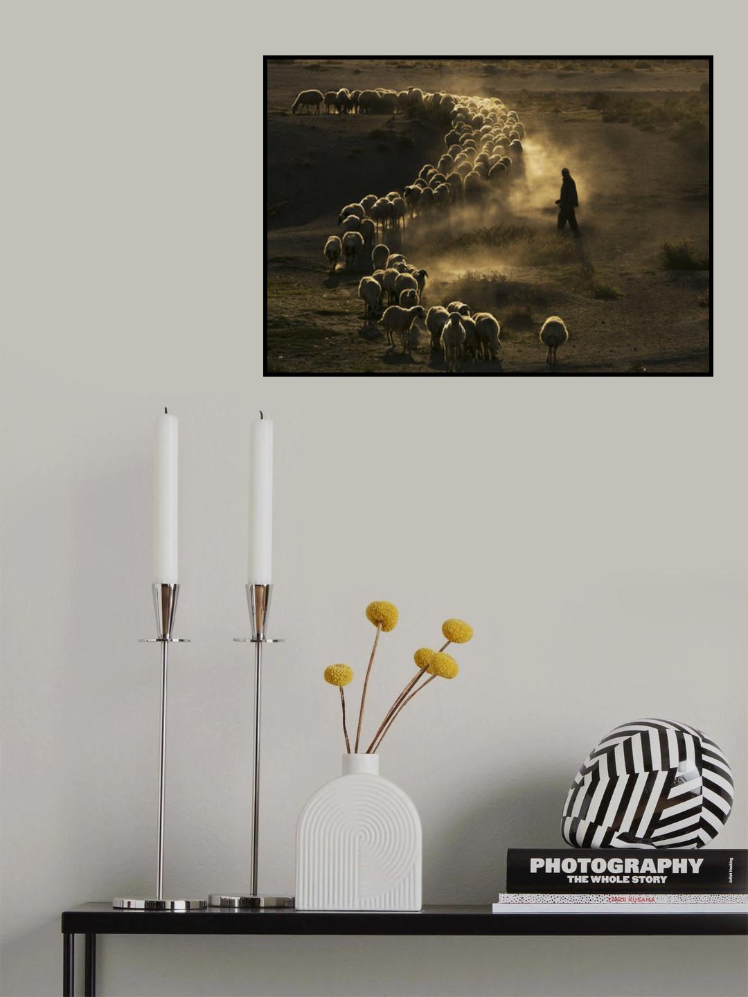 çoban Ali Poster och Canvastavla