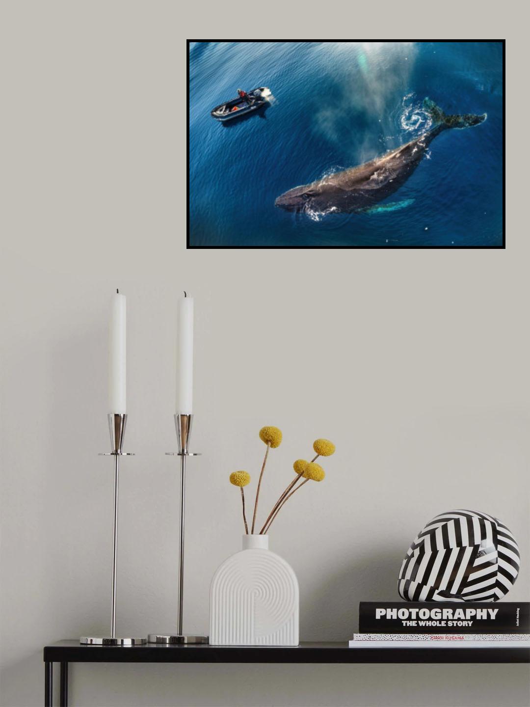 Friendly Encounter in Antarctica Poster och Canvastavla