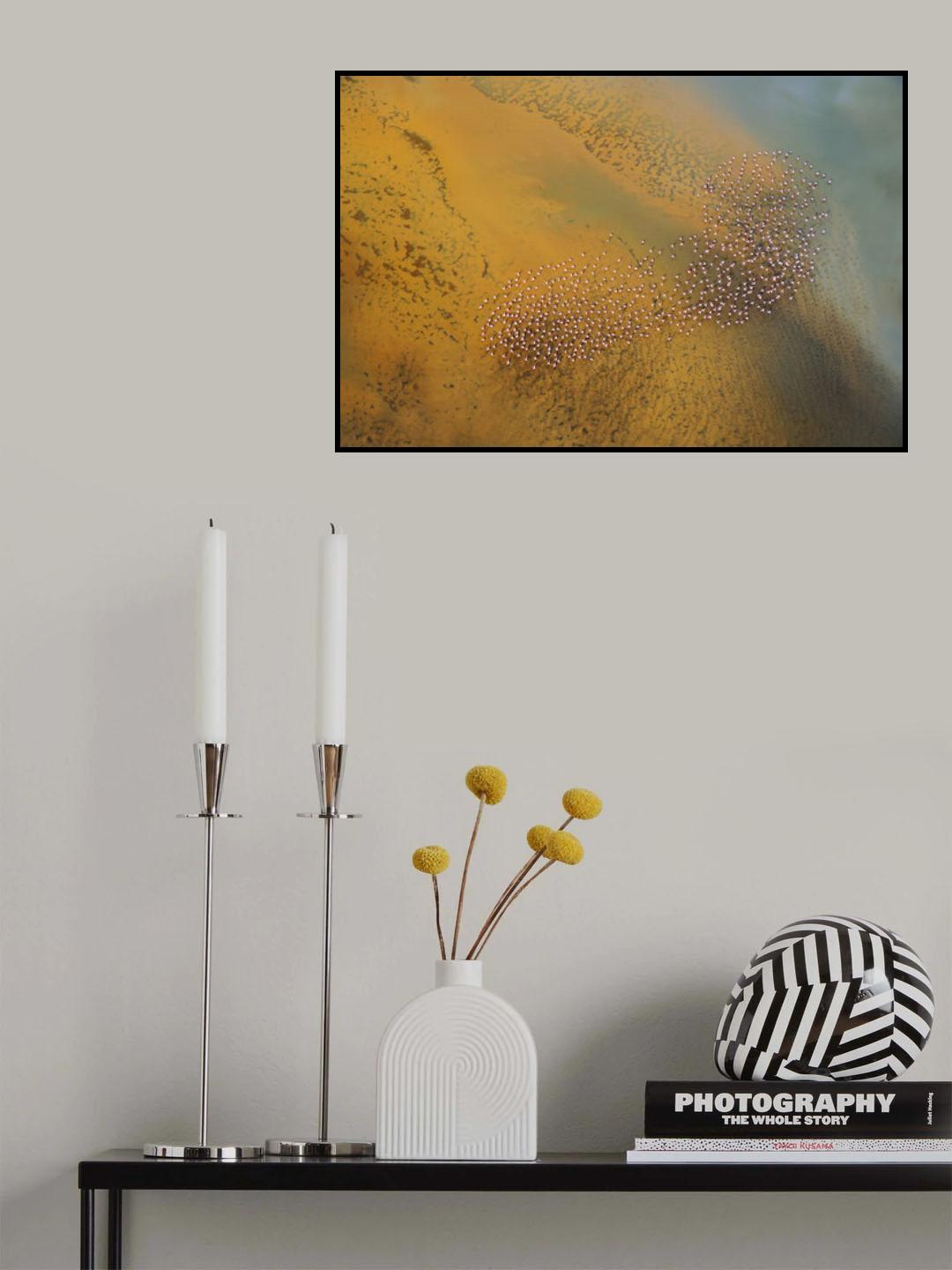 The footprint Poster och Canvastavla