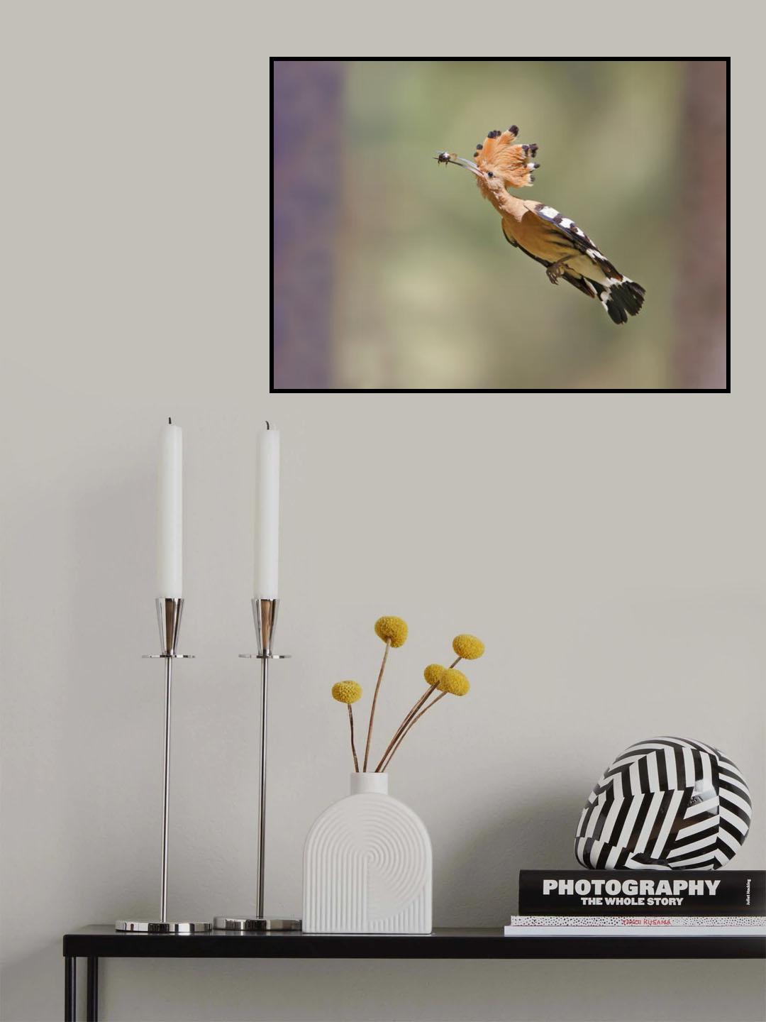 Hoopoe - Missile Poster och Canvastavla