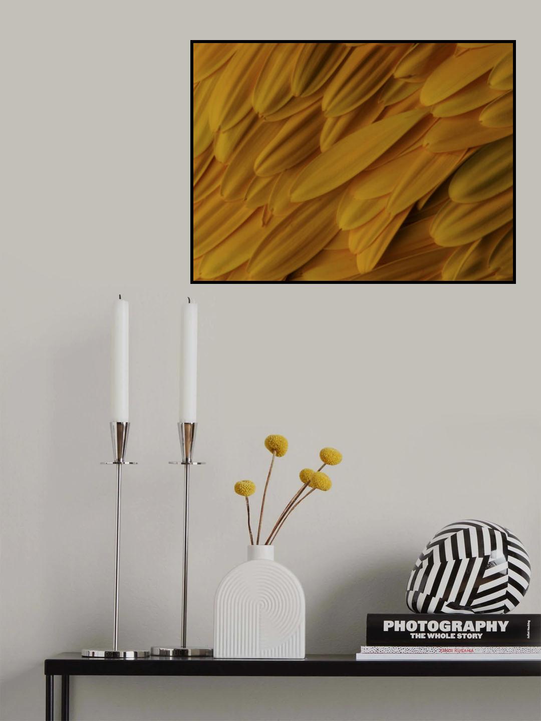 flower petals Poster och Canvastavla